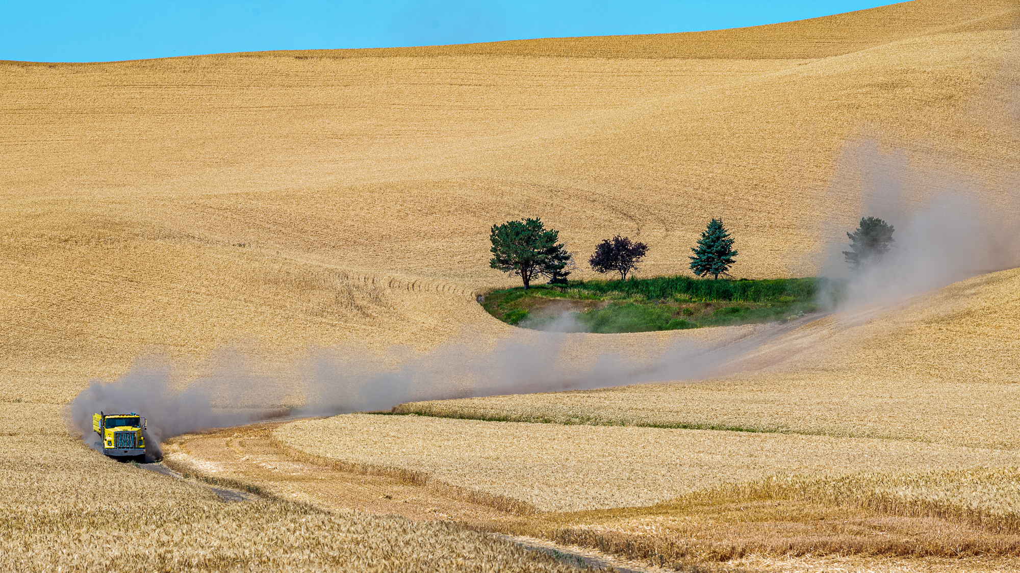 palouse truck and tree color.JPG