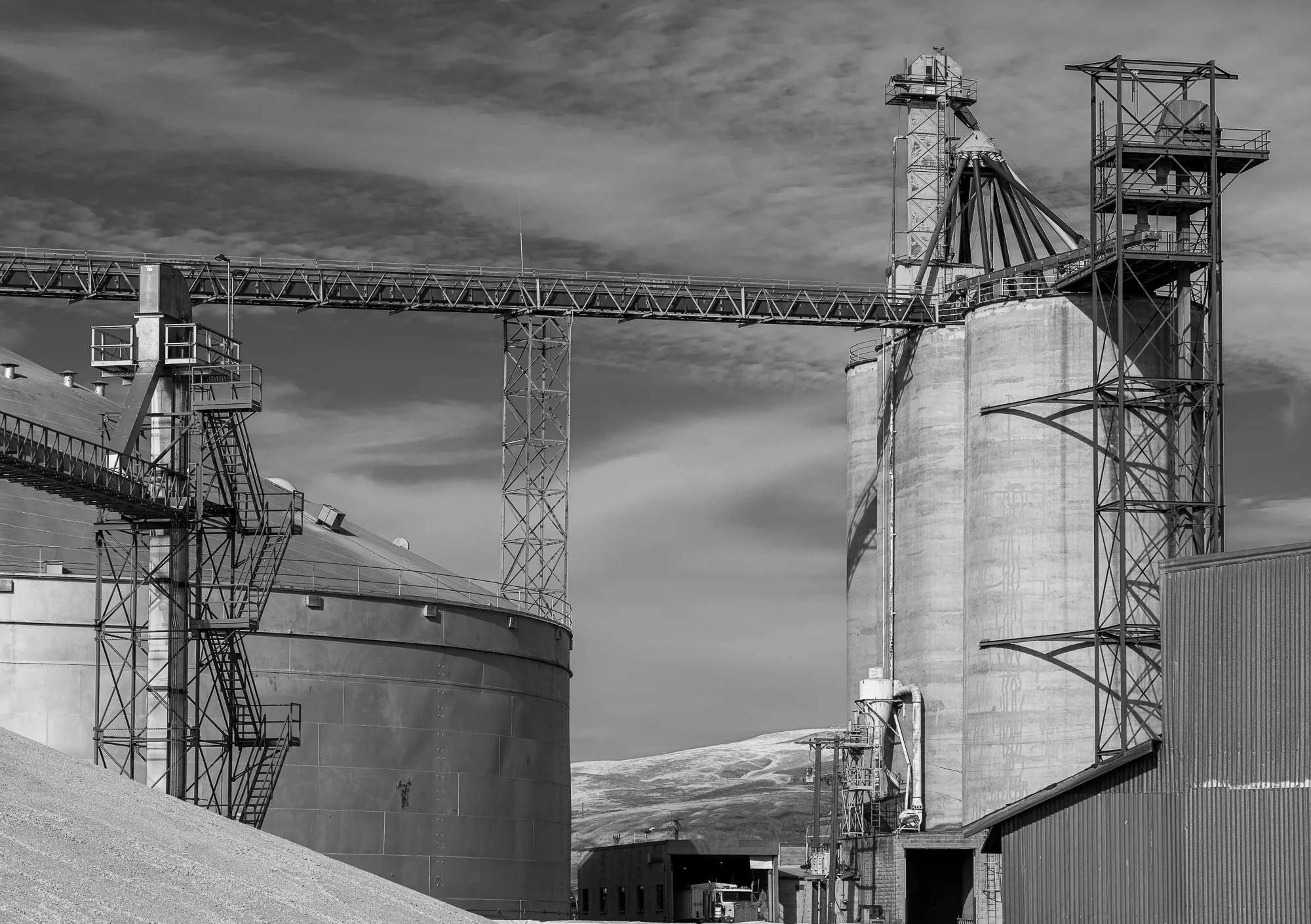palouse grain bw.JPG