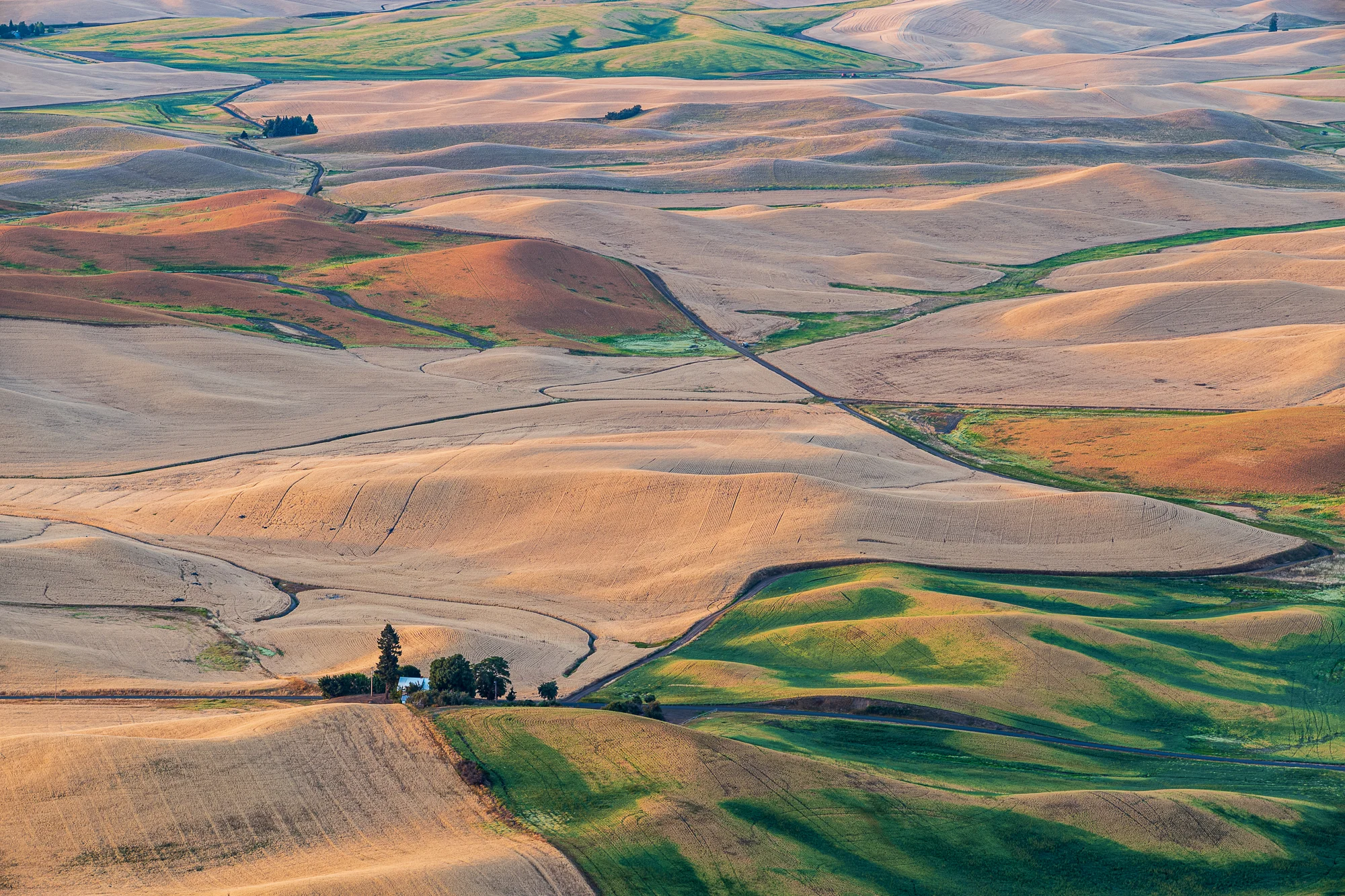palouse hills color.JPG