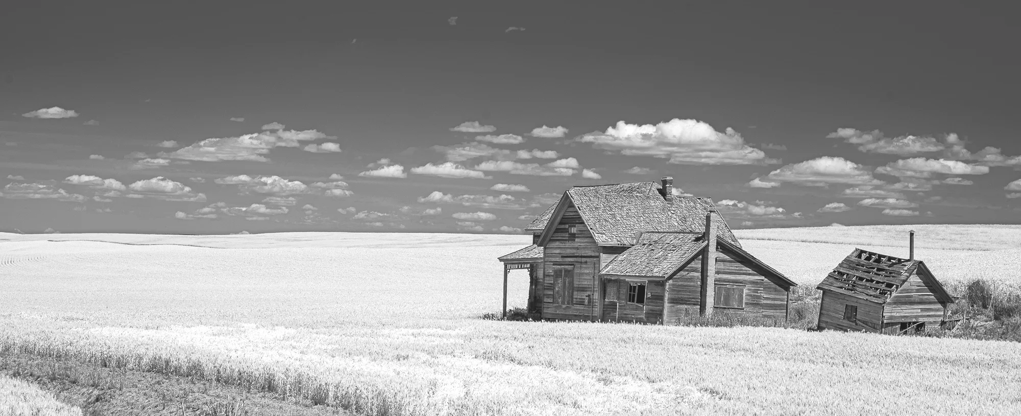 palouse abandoned house bw.JPG