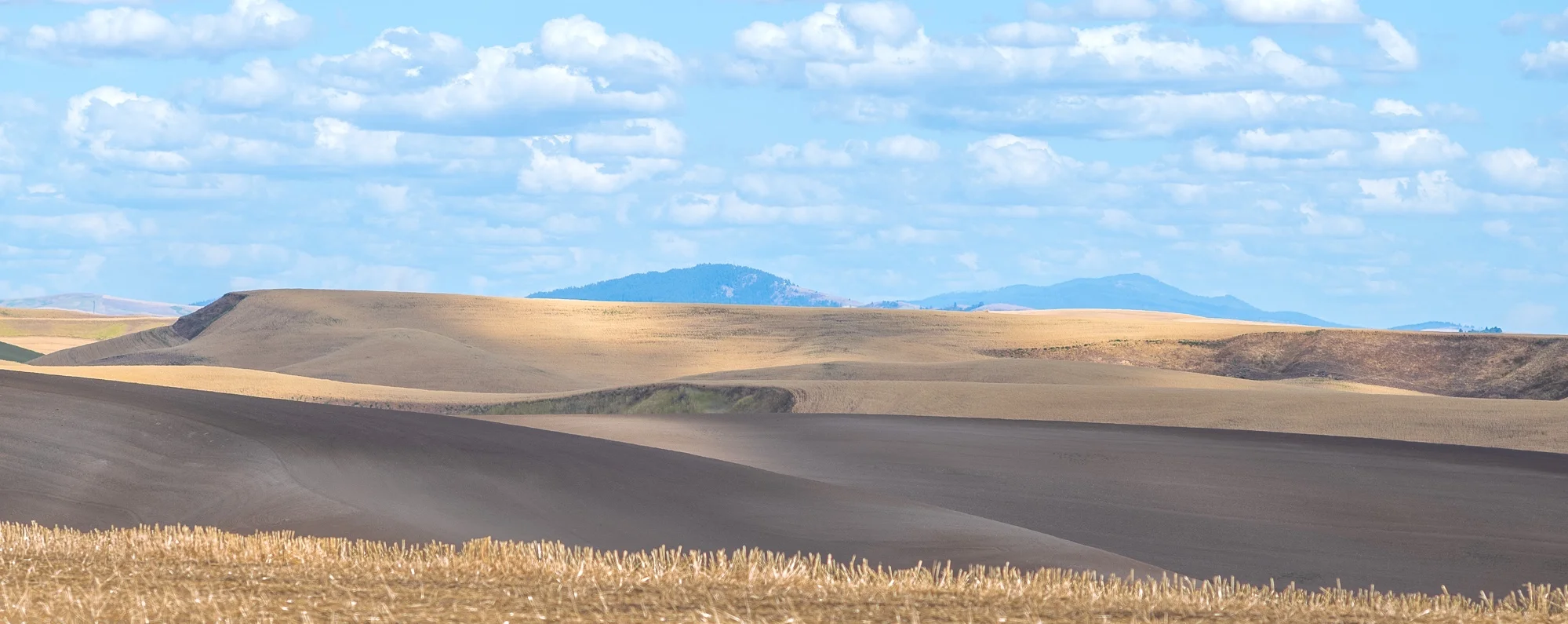 palouse layered hills color.JPG