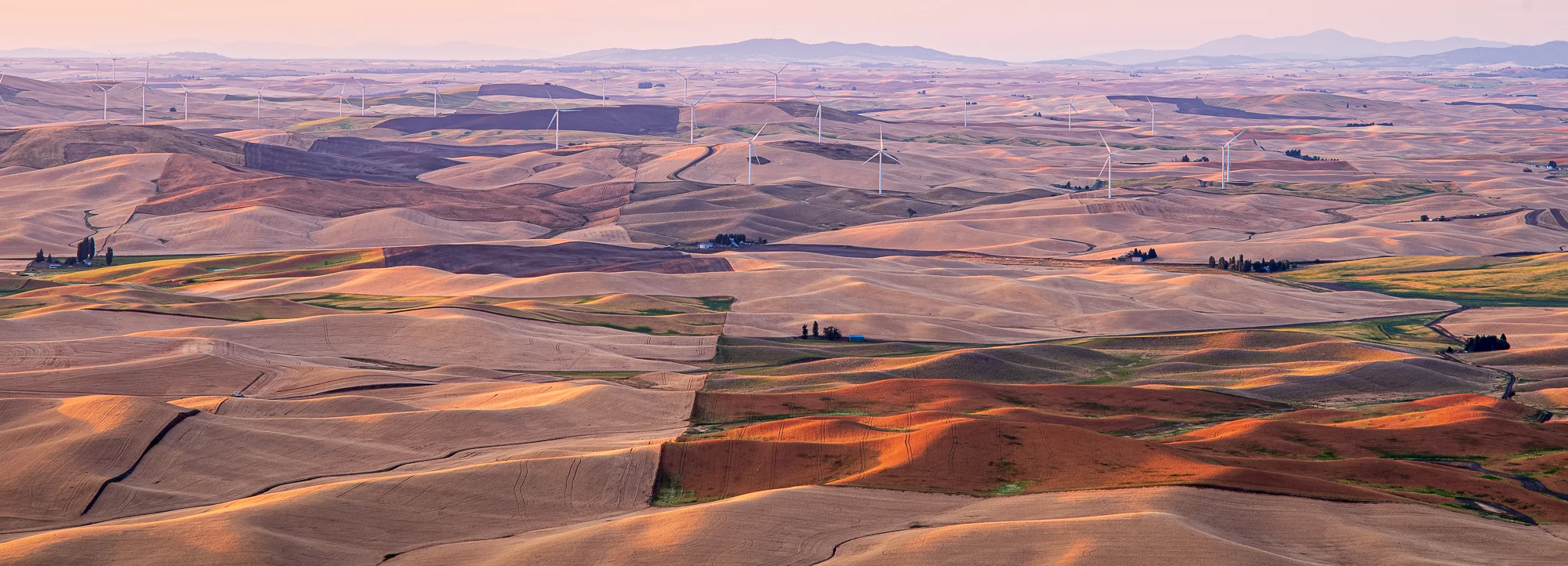 palouse from steptoe color.JPG