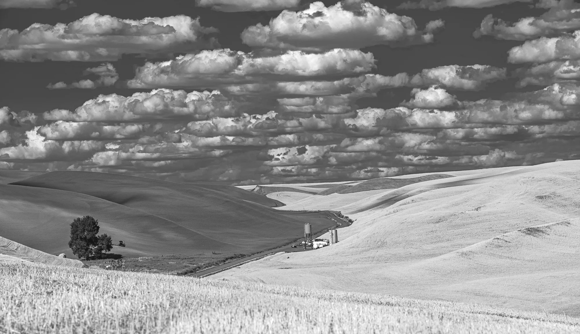 palouse hills&sky bw.JPG
