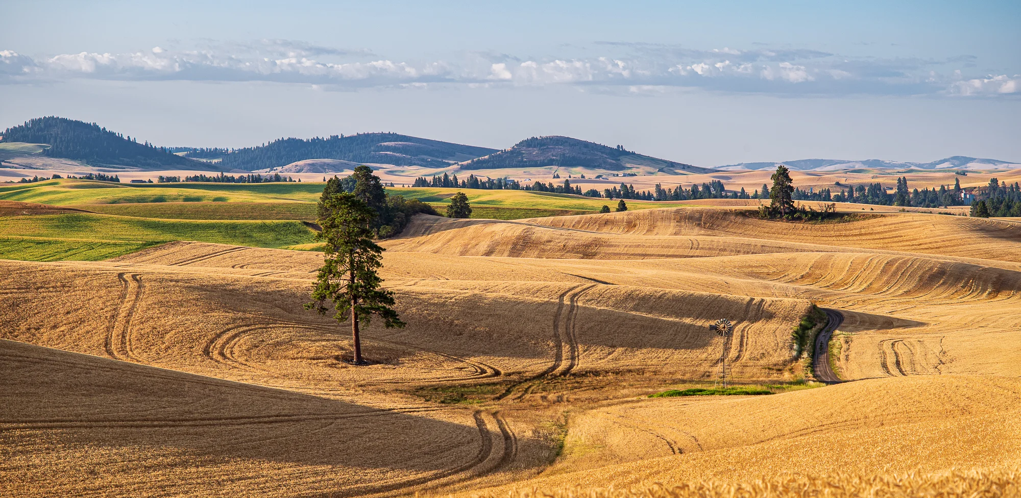 palouse early morn color.JPG