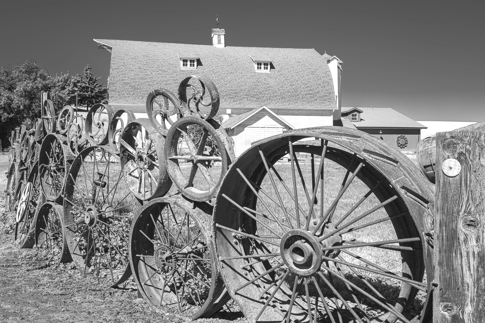 palouse wagon wheels bw.JPG