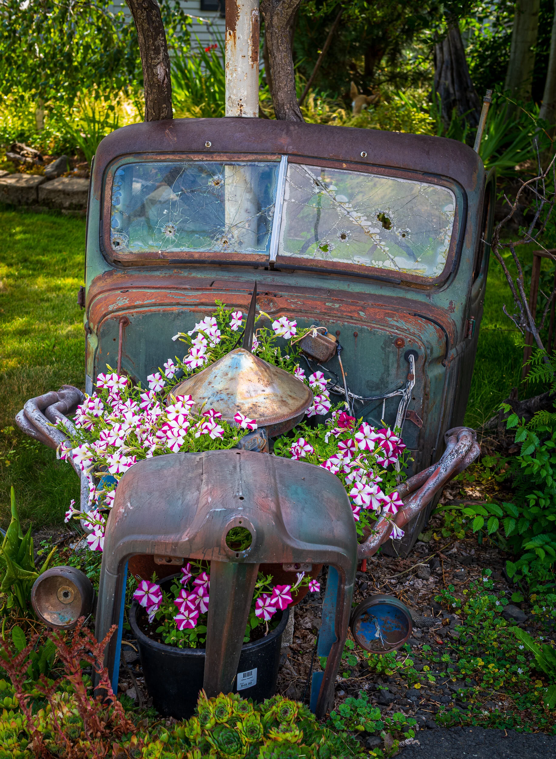 wreck&flowers.JPG