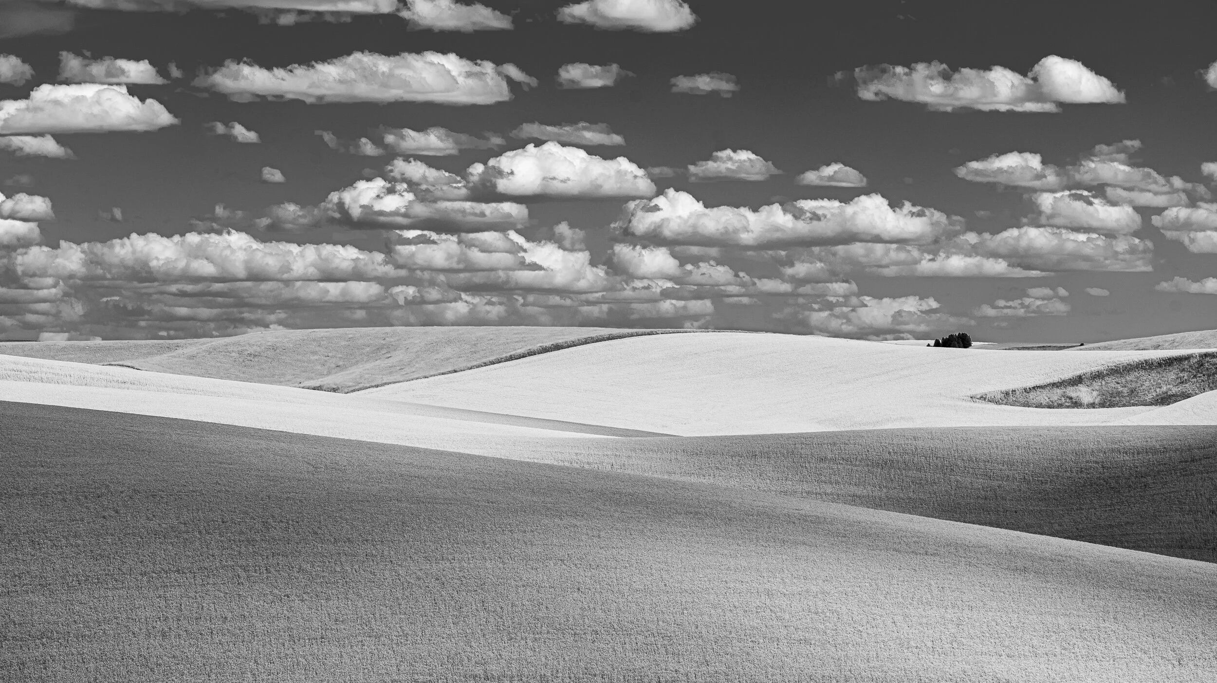 more_rolling_hills_sqs.JPG