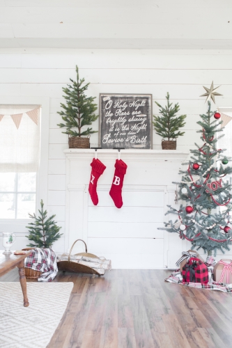 christmasplayhouse3.jpg