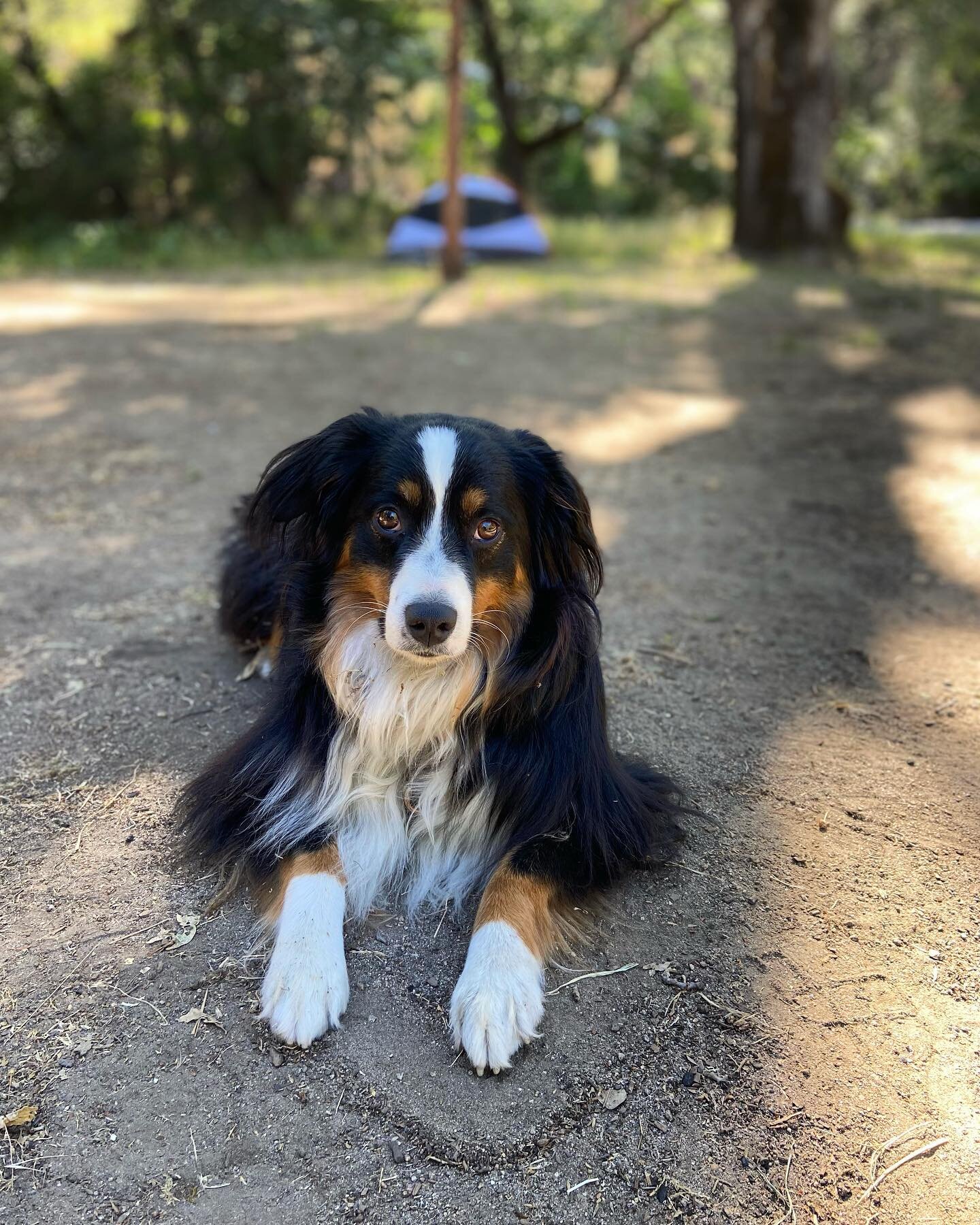 Camping glamour shot.