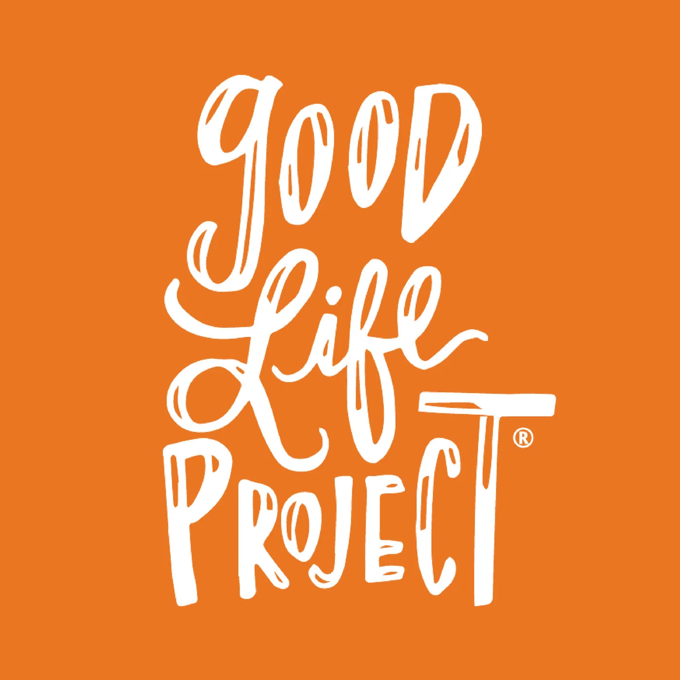 good life project.jpeg