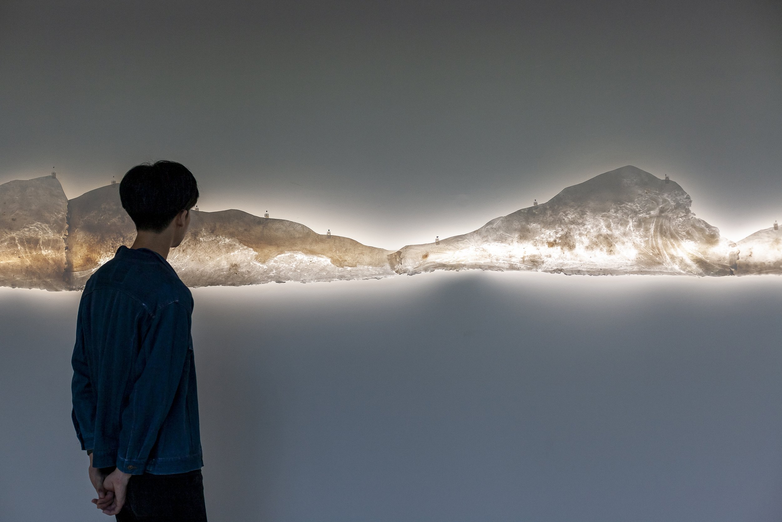 EBriel ReGenerations Daytime R detail with visitor.JPG