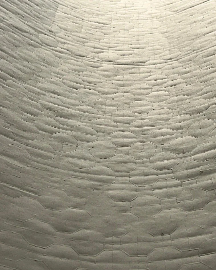 508805455_10236971305763423_6140859290934849441_n.jpg