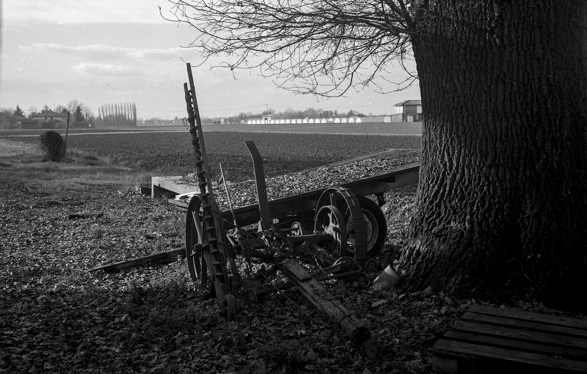 VEDRANA_BW-43.jpg