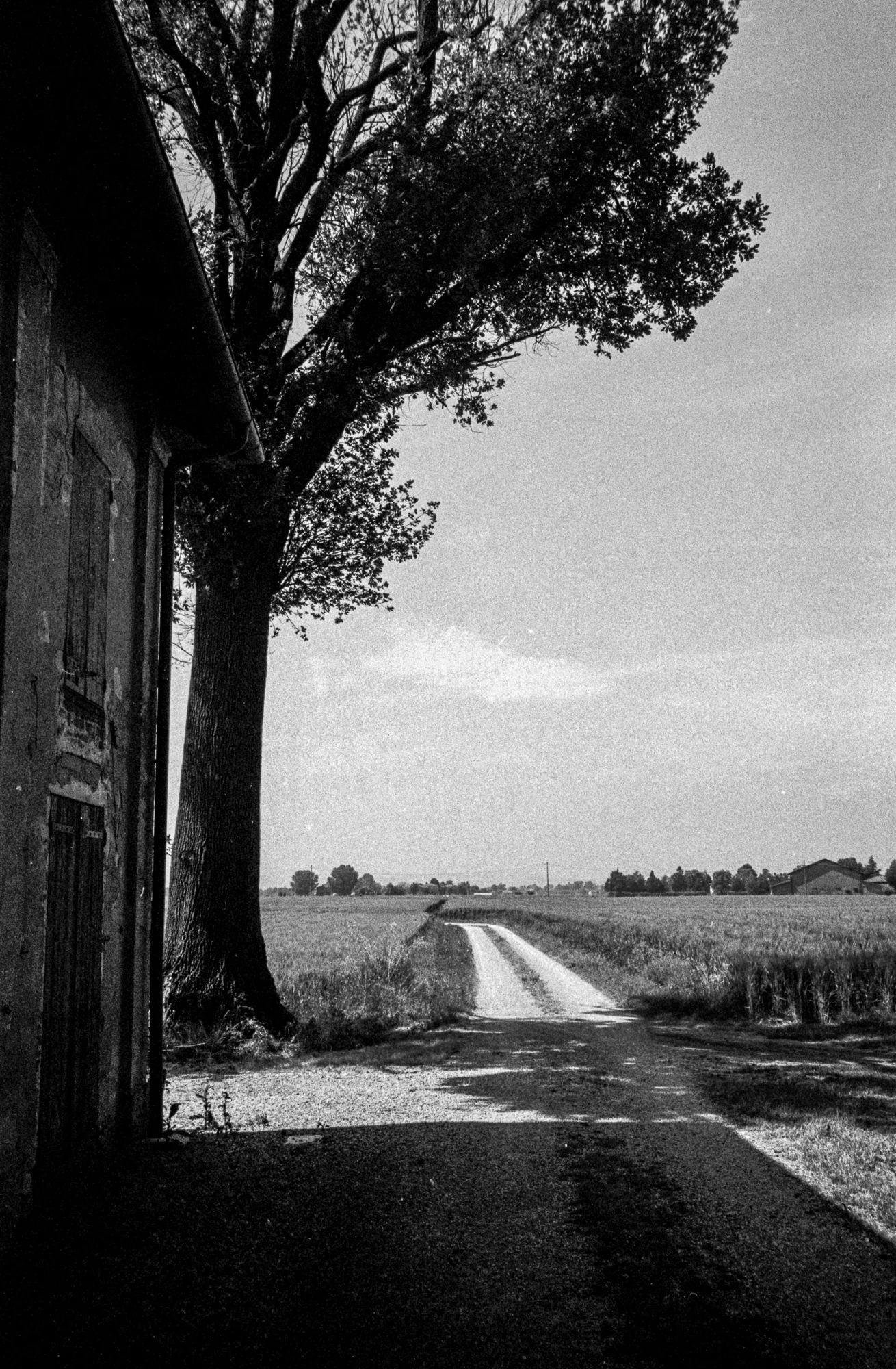 VEDRANA_BW-4.jpg