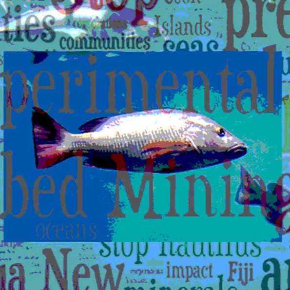 Deep Sea Mining and the struggle for Global Mineral Supremacy: Thoughts and Recommendations 