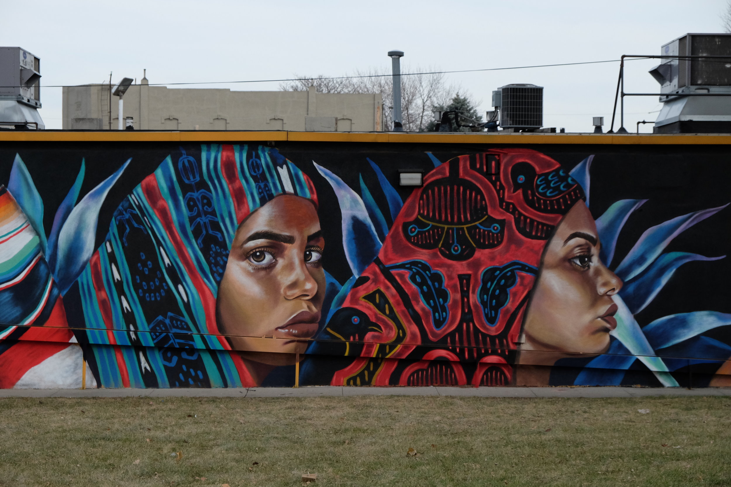 DSCF5381.JPG