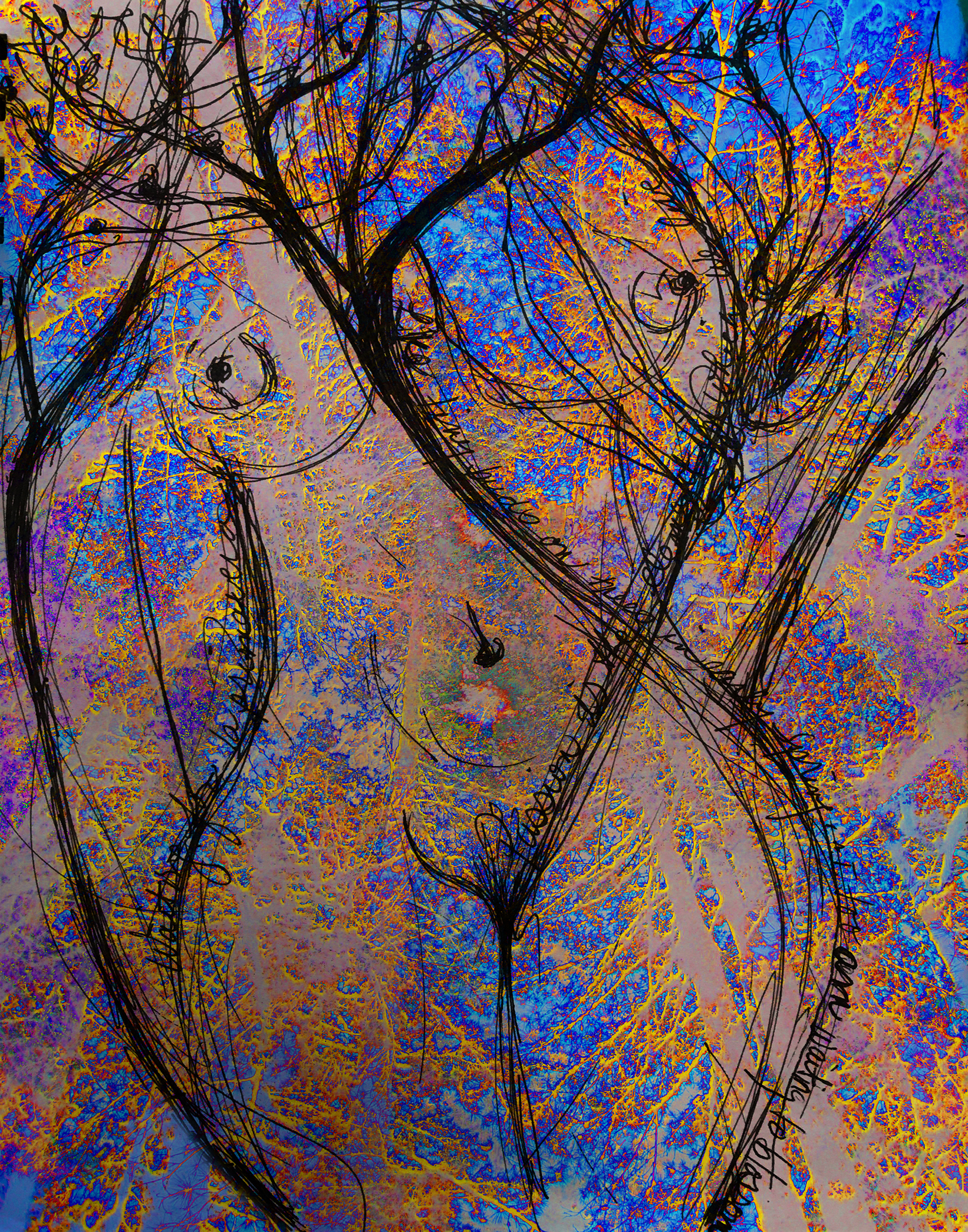 sila trees bright1.jpg