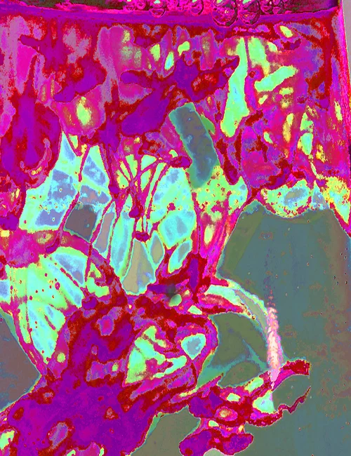 water2.jpg