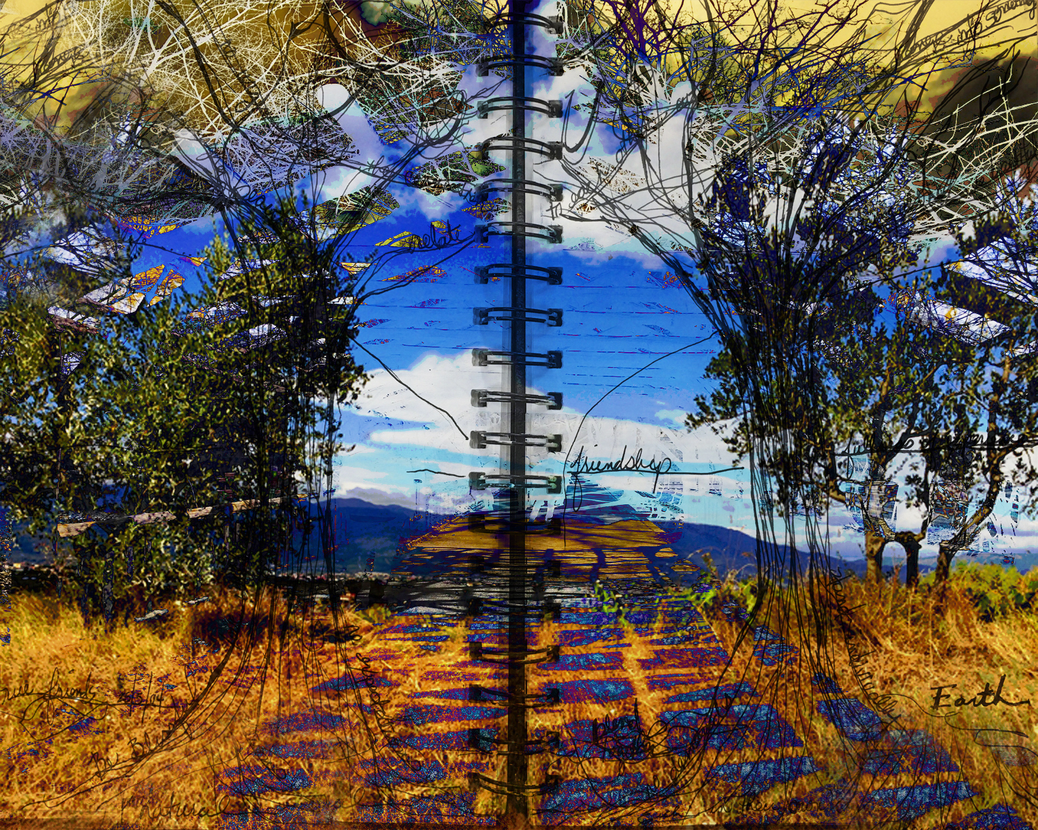 two olive trees1.jpg