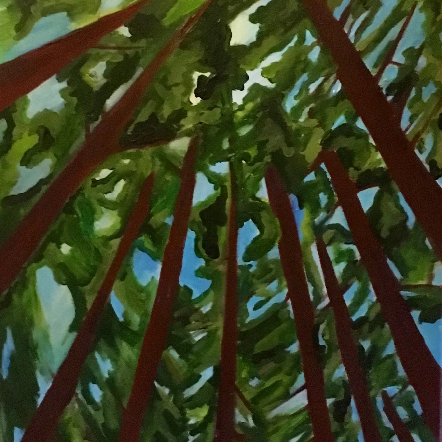Through the trees.jpg