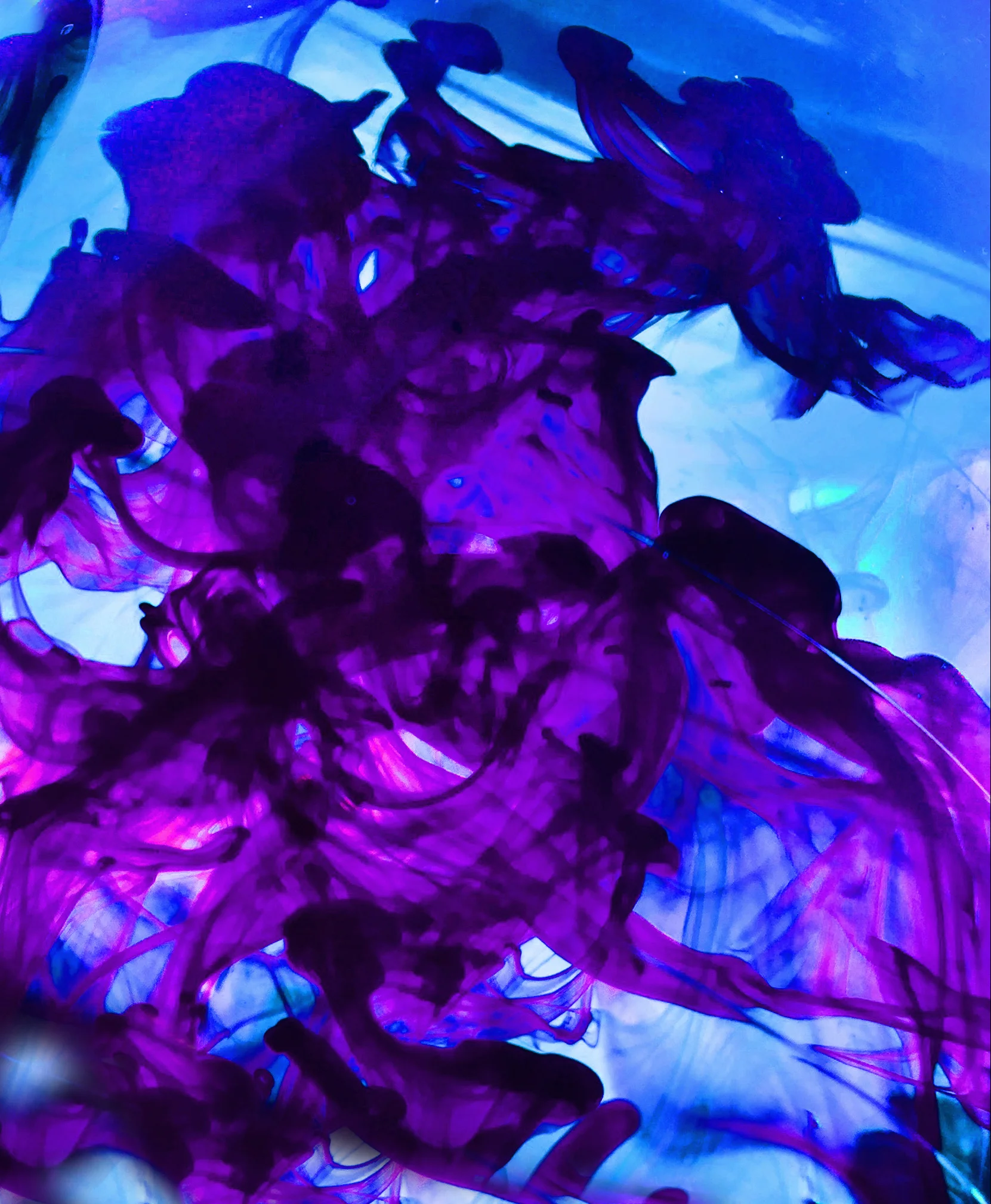 watershots4.jpg