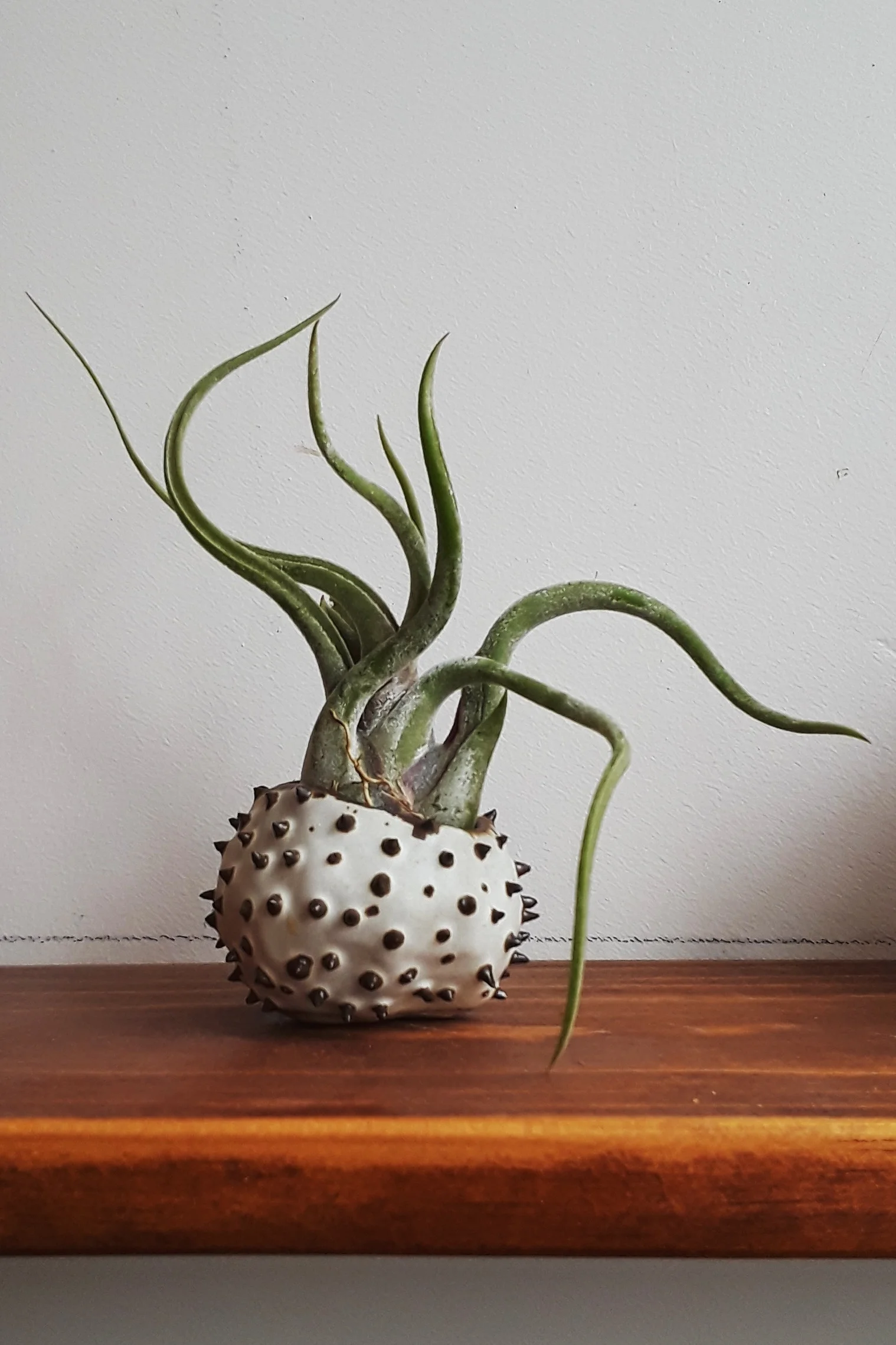 20190411_152839.jpg