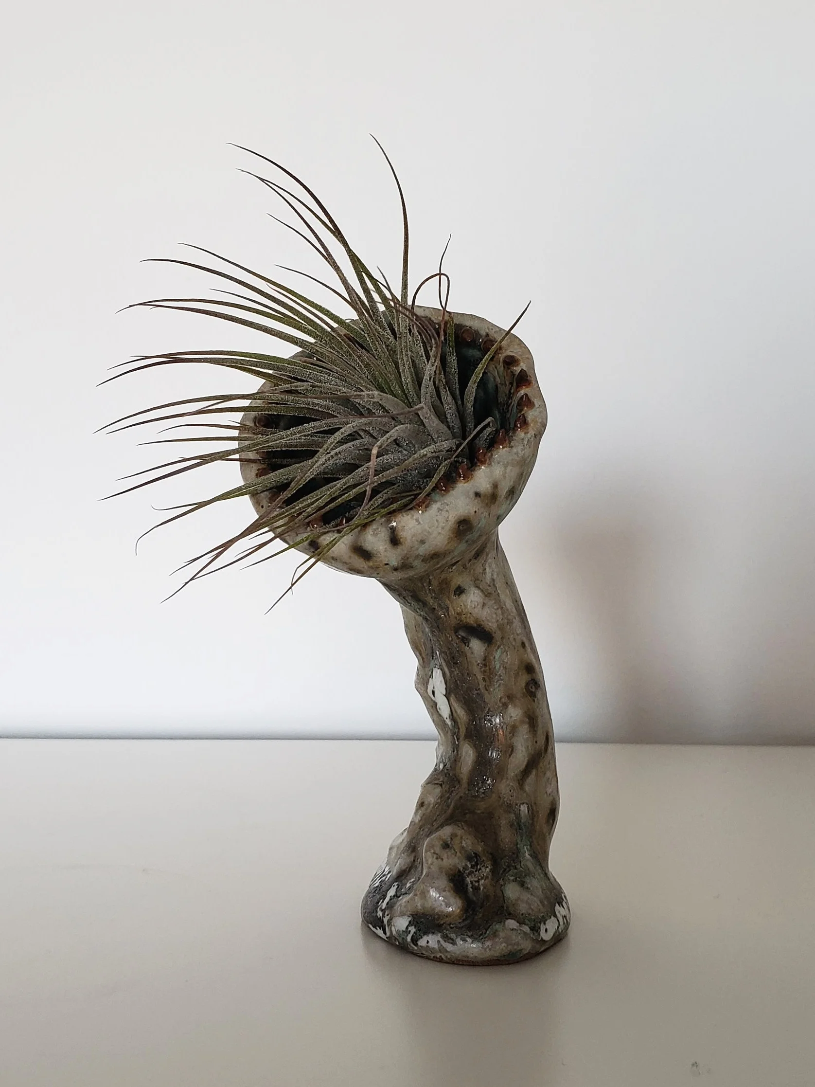 20190612_171537.jpg