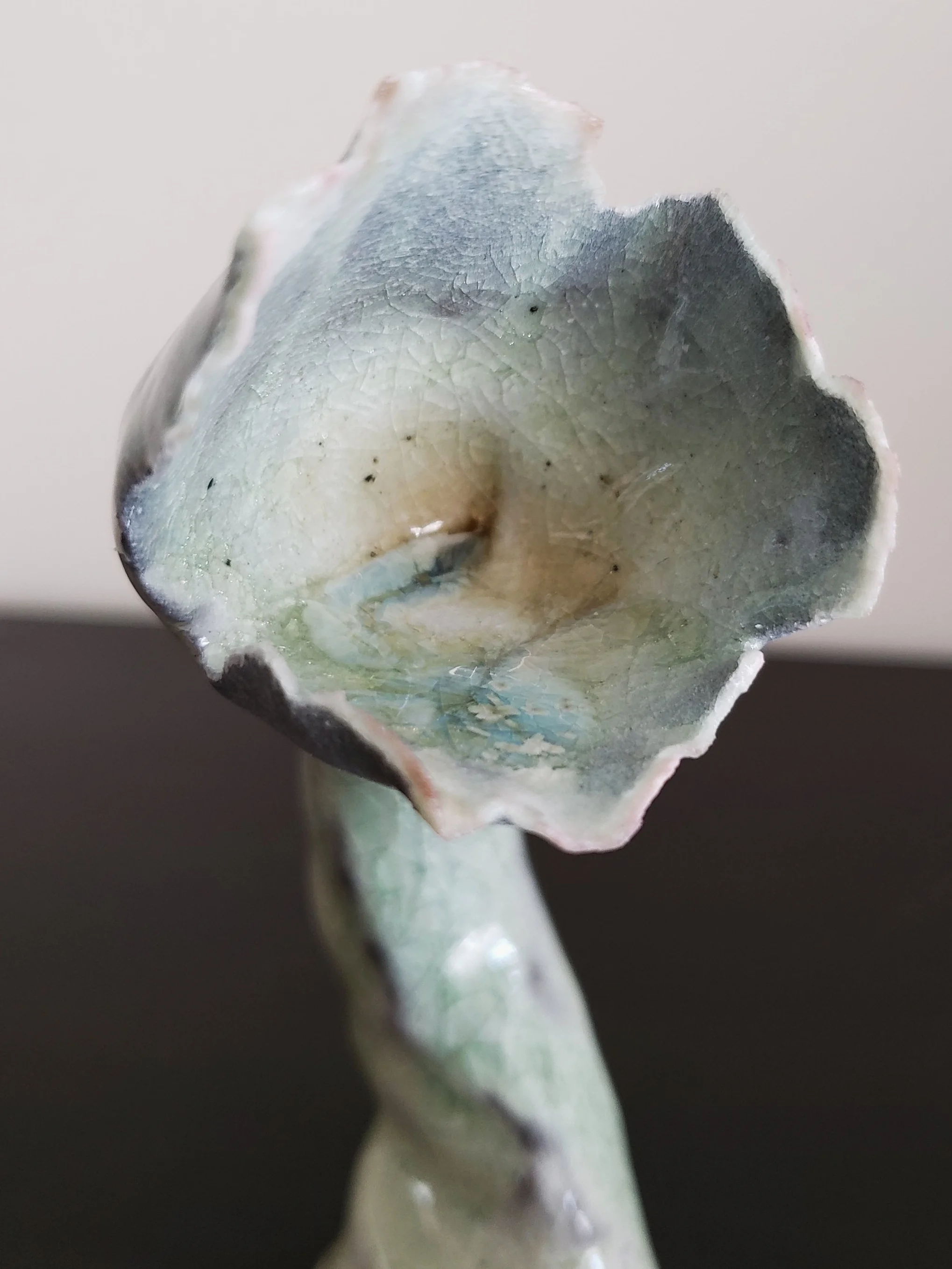 20190725_153832.jpg
