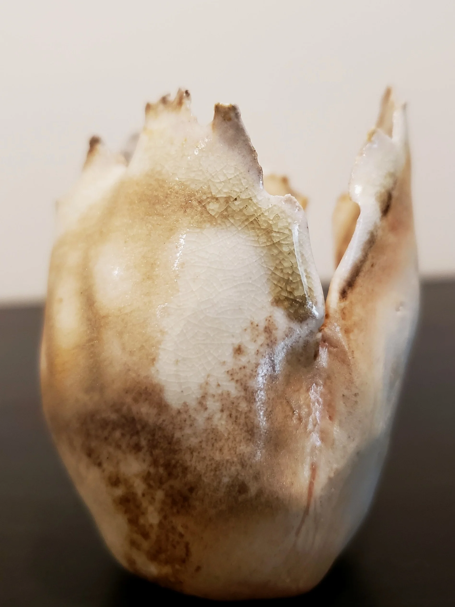 20190805_140147.jpg