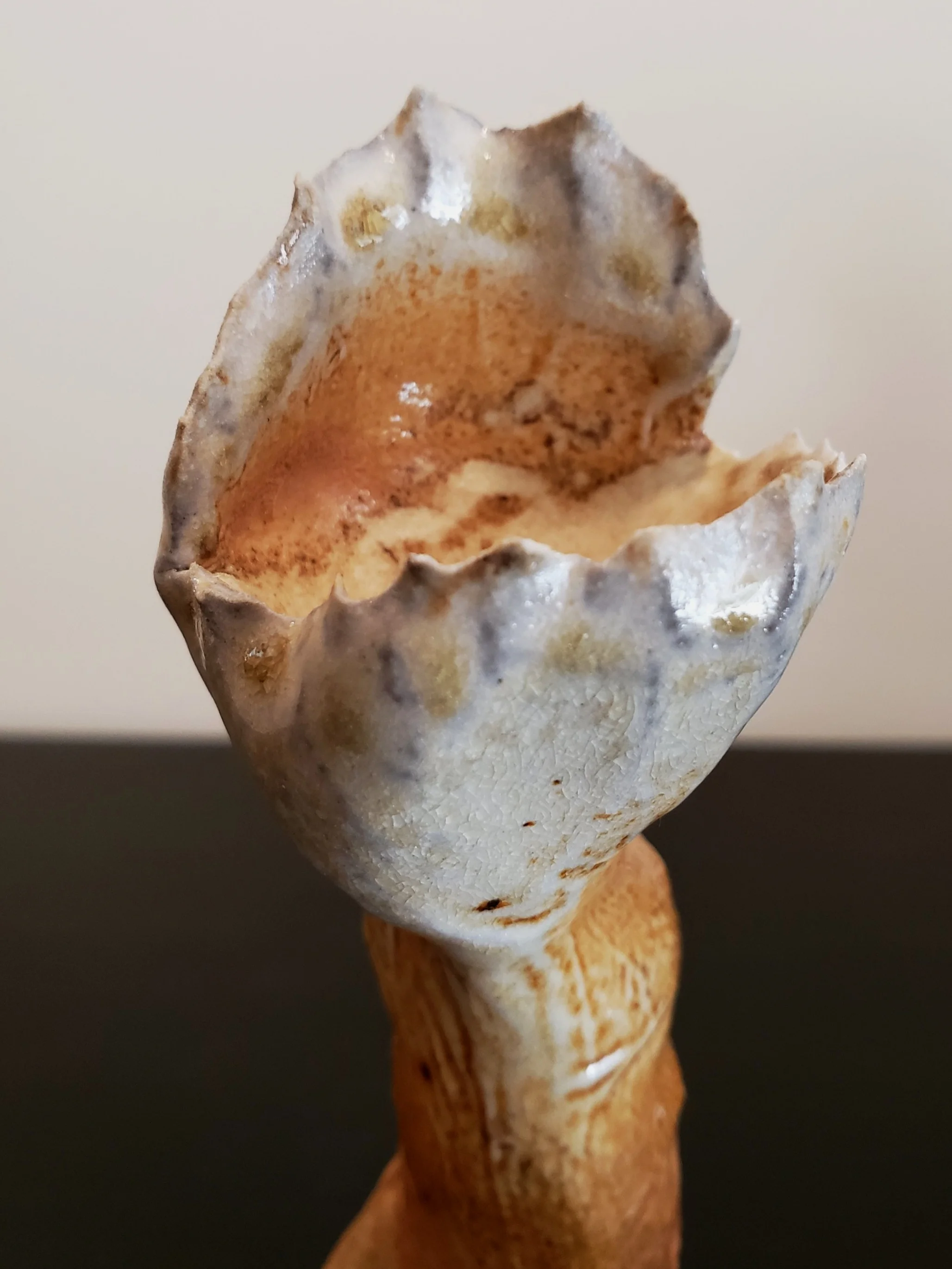 20190810_151254.jpg