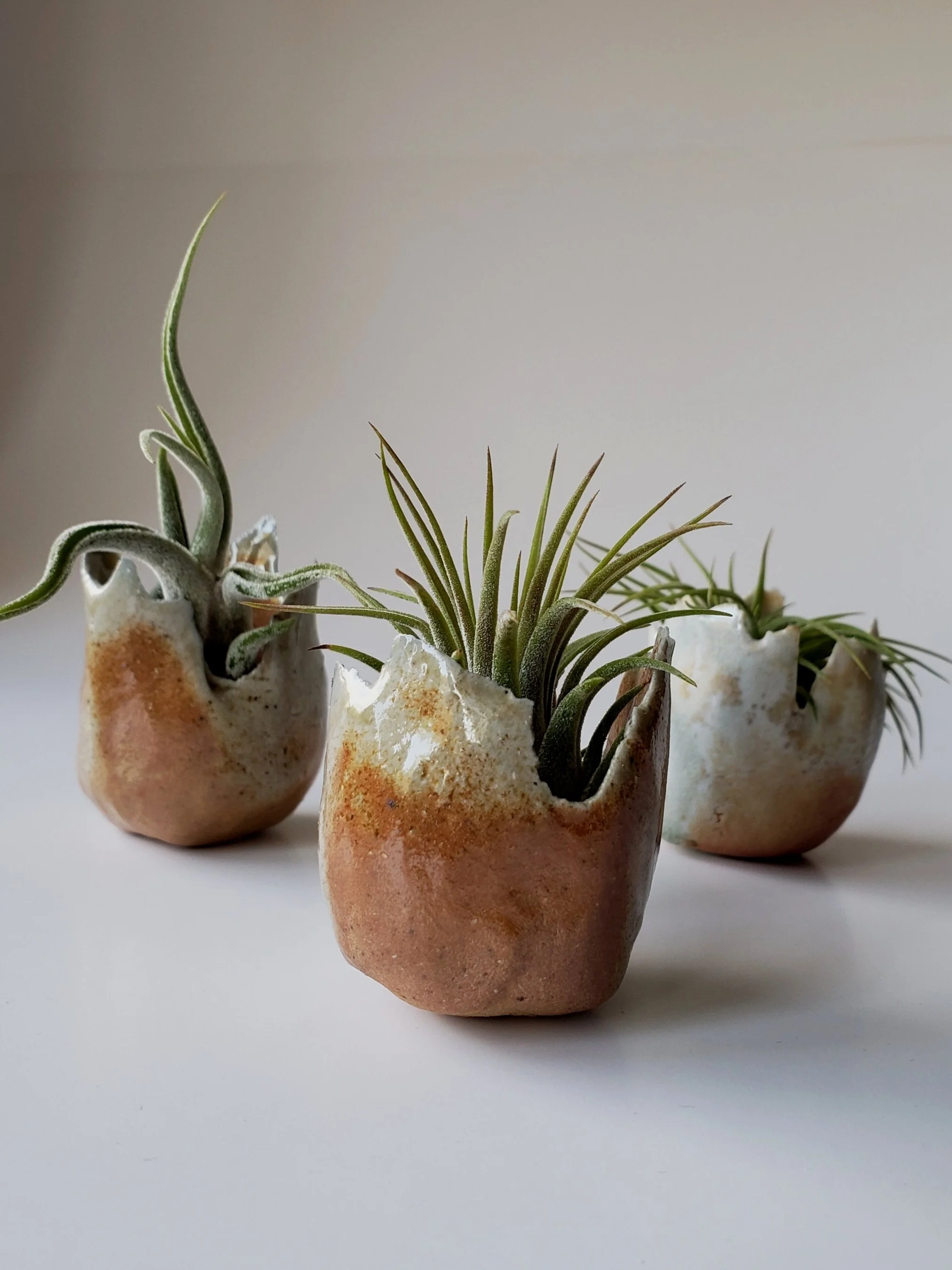 20191002_102645.jpg