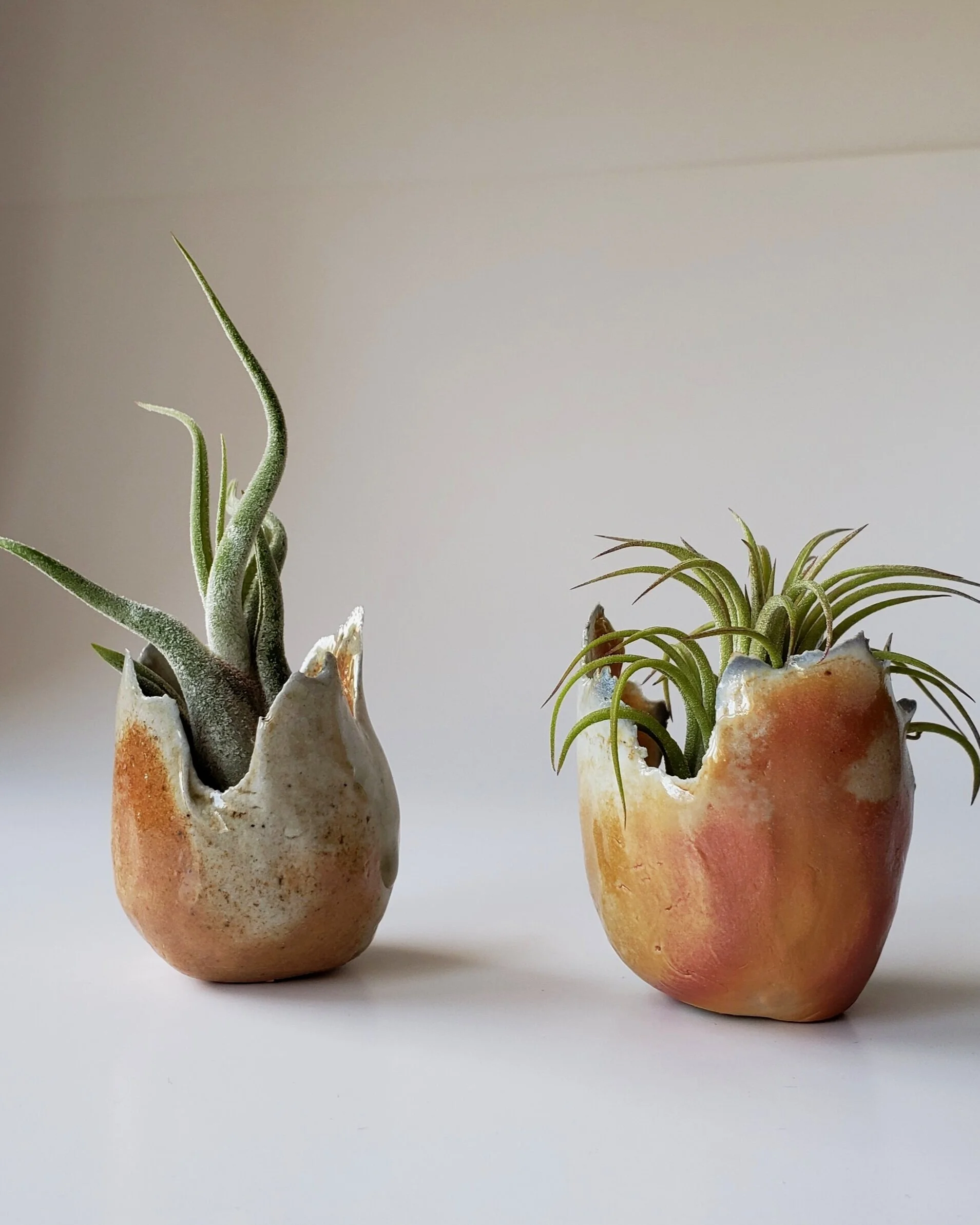 20191002_102737.jpg
