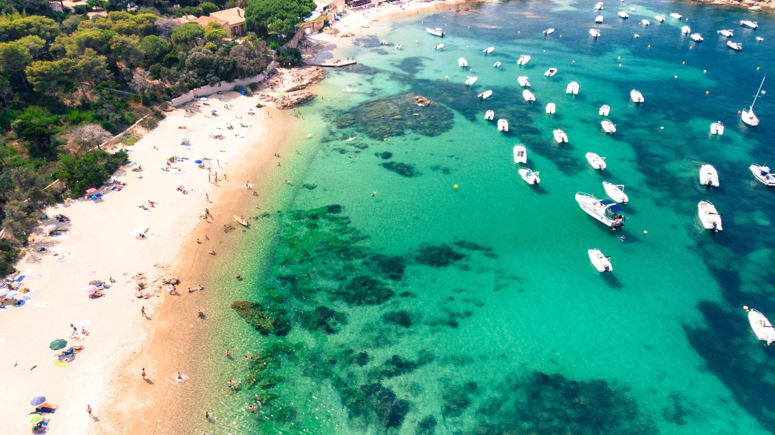 DJI_0331.jpg