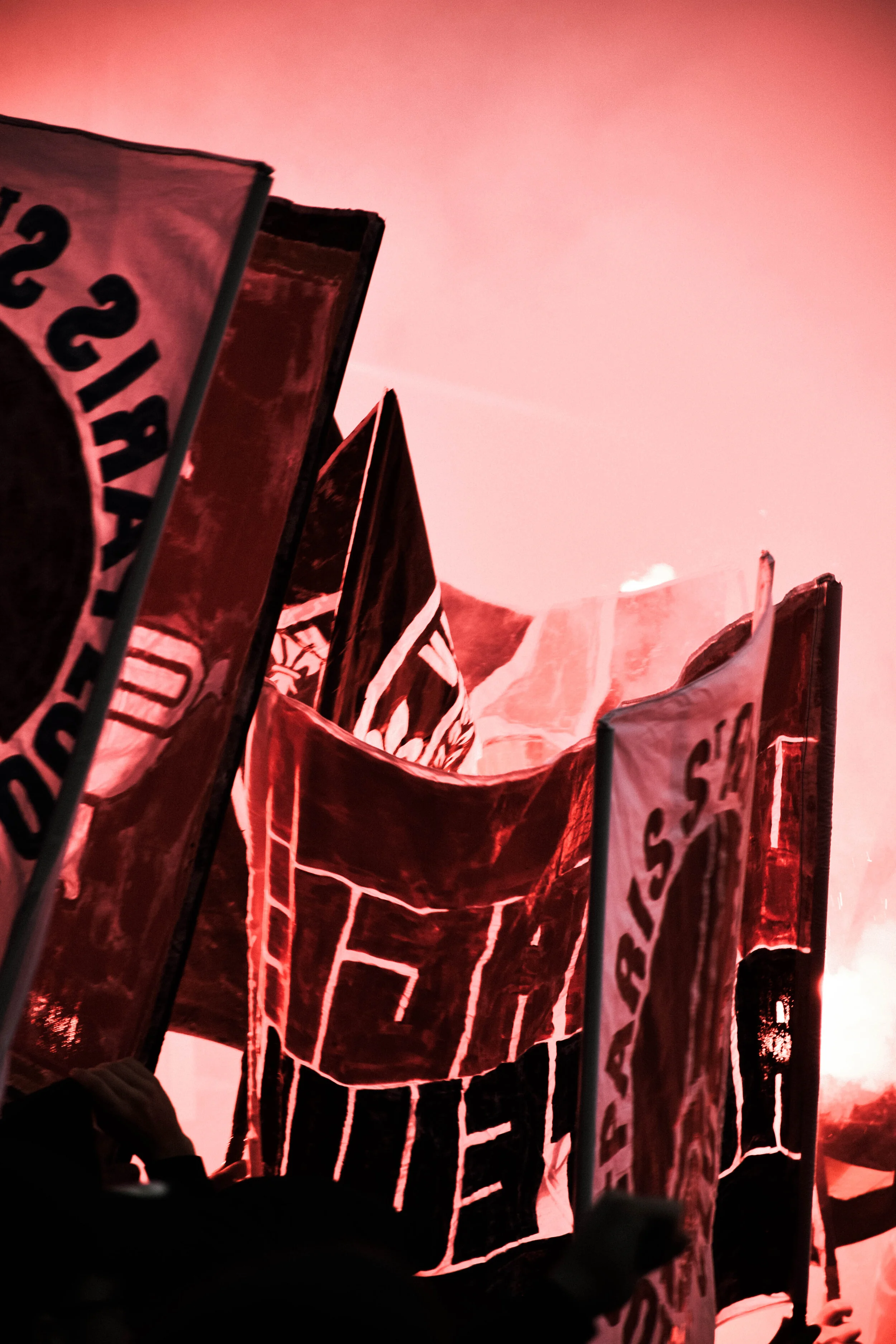 DSC_0044-3.jpg