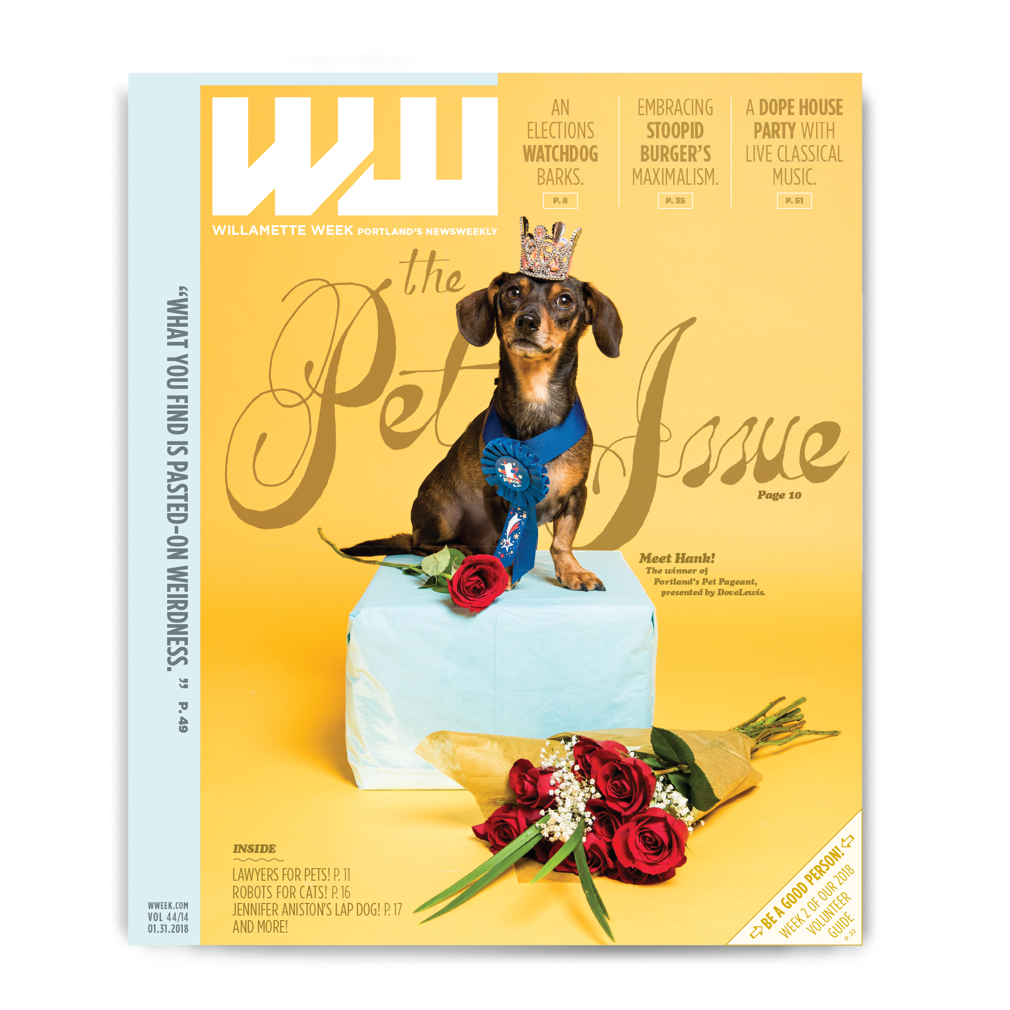Pet_issue.png