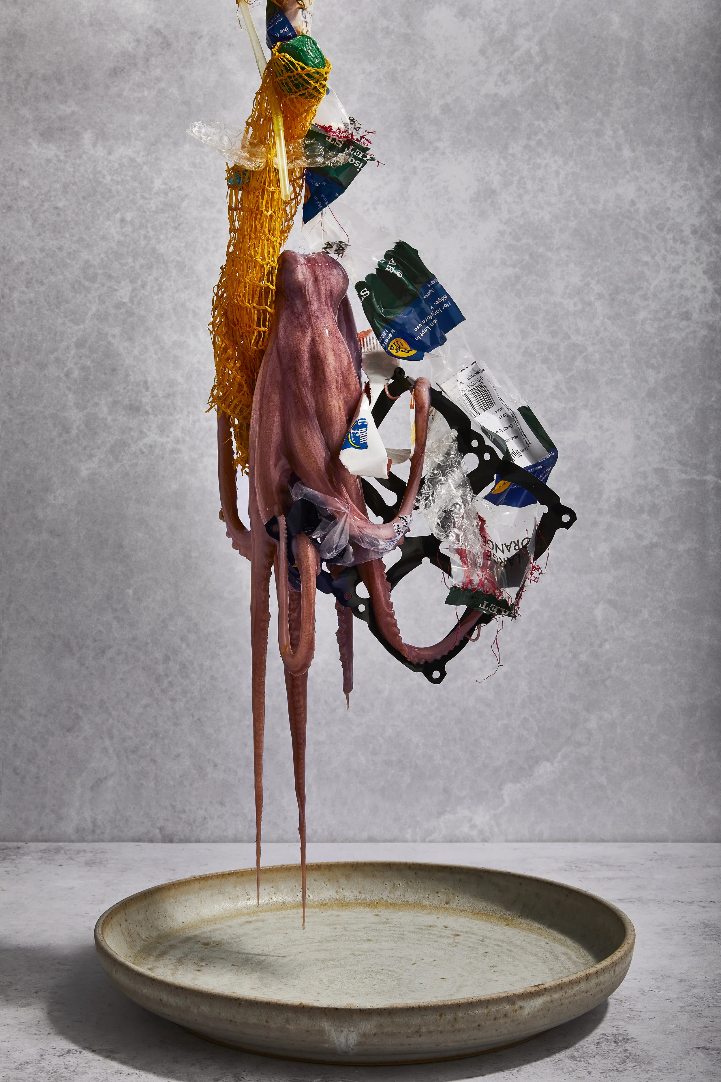 © Tim Atkins.