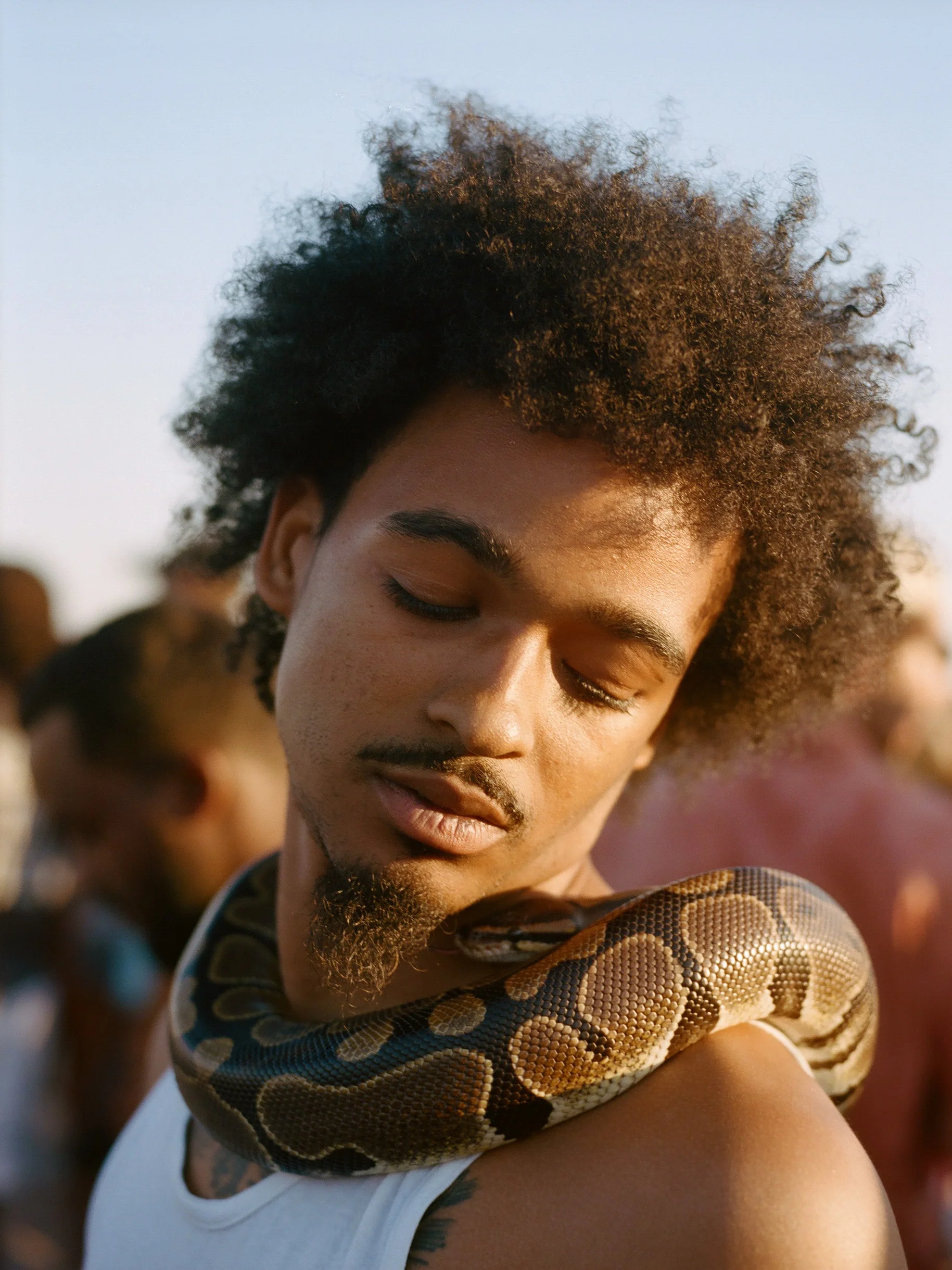 © Will Hartley. Spring Break