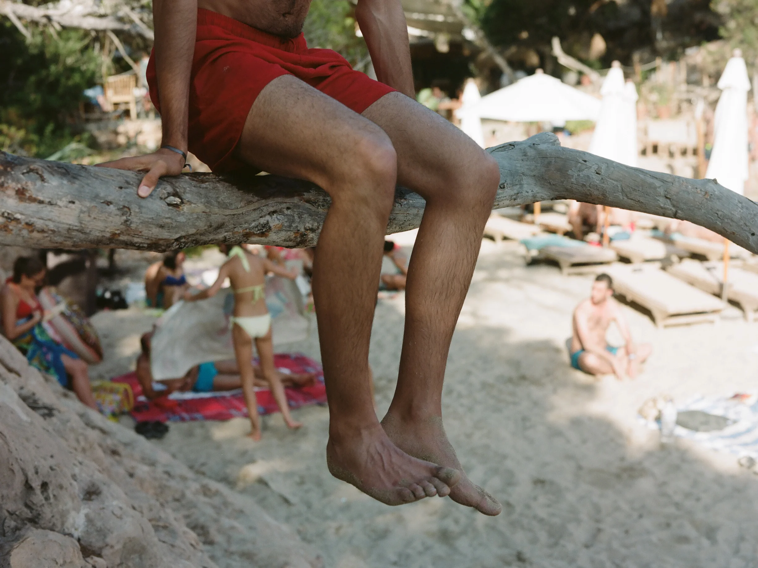 © Will Hartley