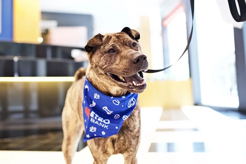 LPA Photographers / Andy Smith / InterArch Metro Bank