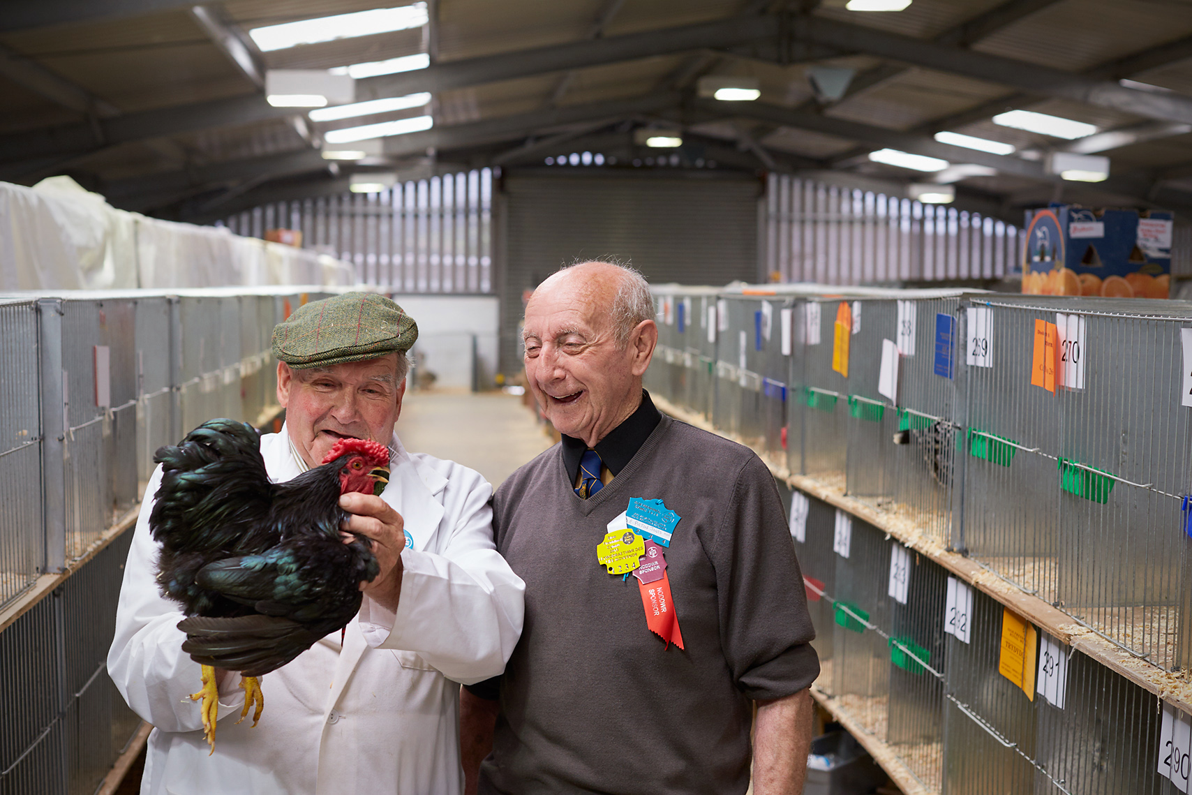 LPA Photographers / Departures / Royal Welsh Show