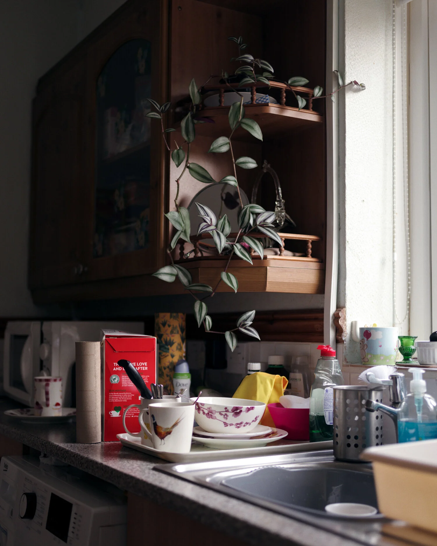 LPA Futures / Josh Adam Jones / Christmas 