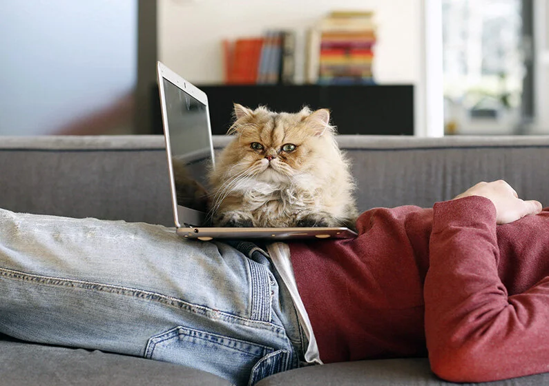 LPA / Remote Portfolio Reviews 