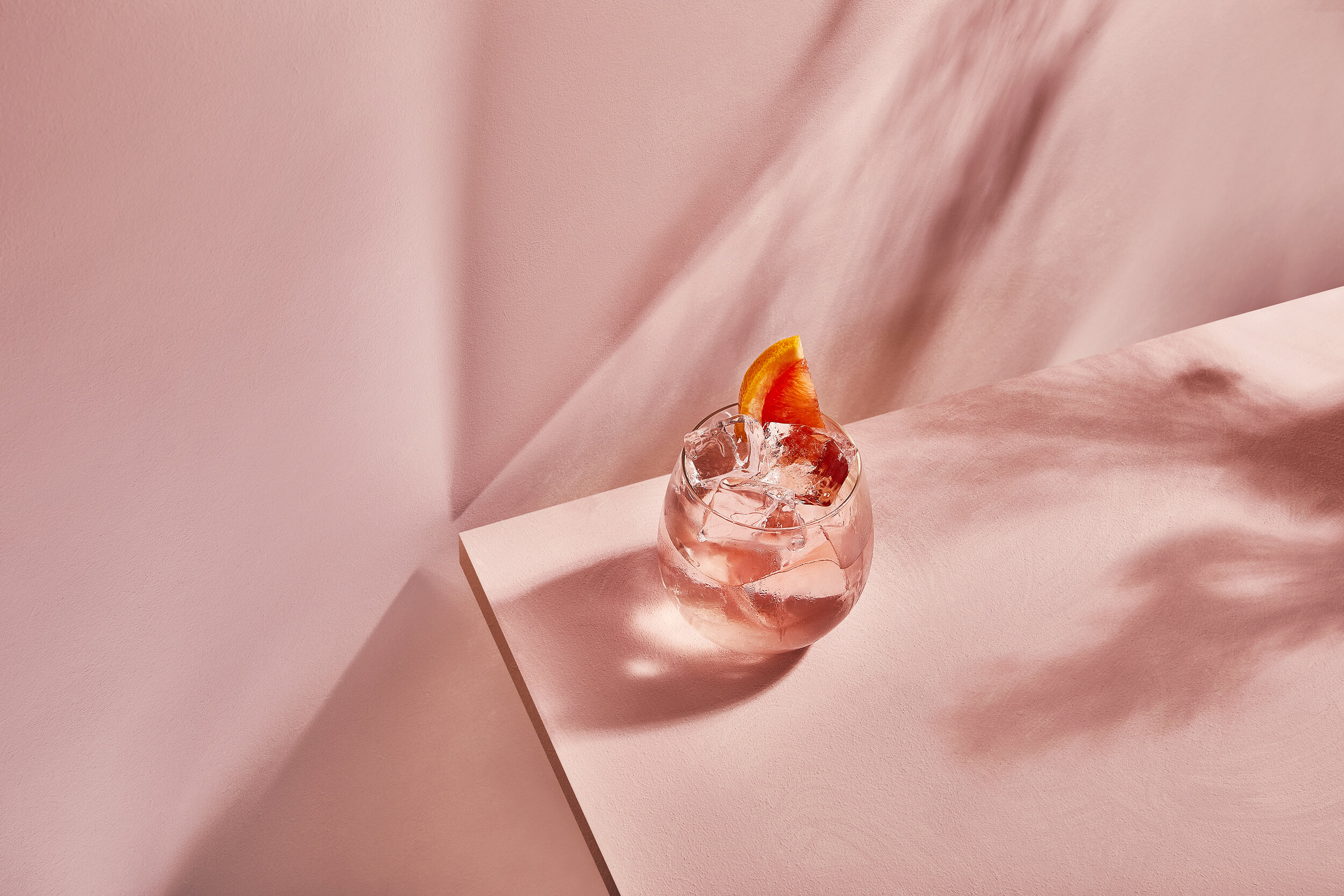 LPA Photographers / Tim Atkins / Rhubarb Infusions 