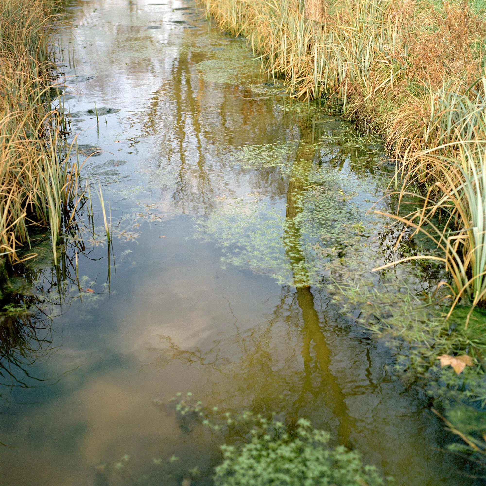 LPA Futures / Josh Adam Jones / MA Final Show 