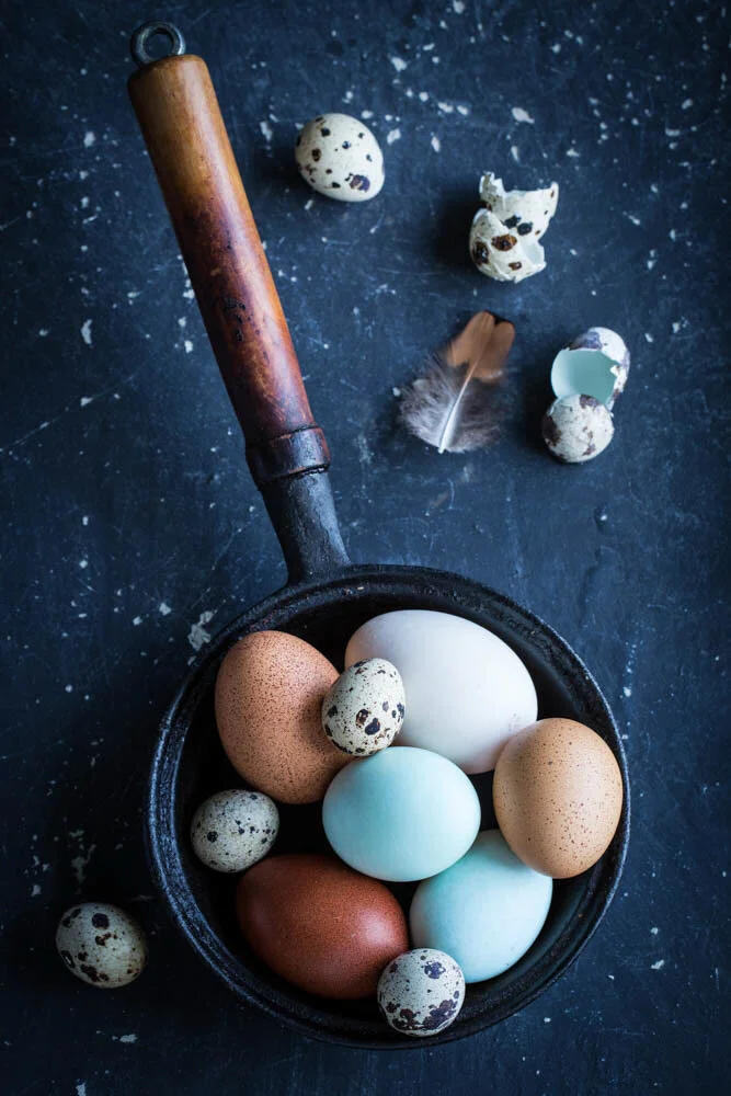 JoDenison_EggPan.jpg