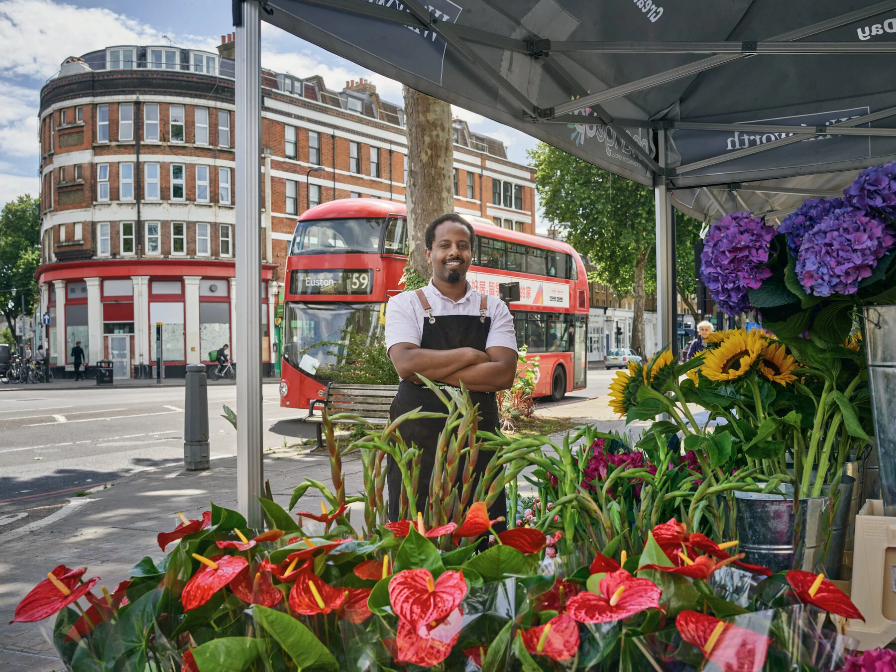 in-a-green-shade-bouquet-beans-Bouquets-BeansP0021246-Michael-wharley-2020-©-michael-wharley-2020.jpg