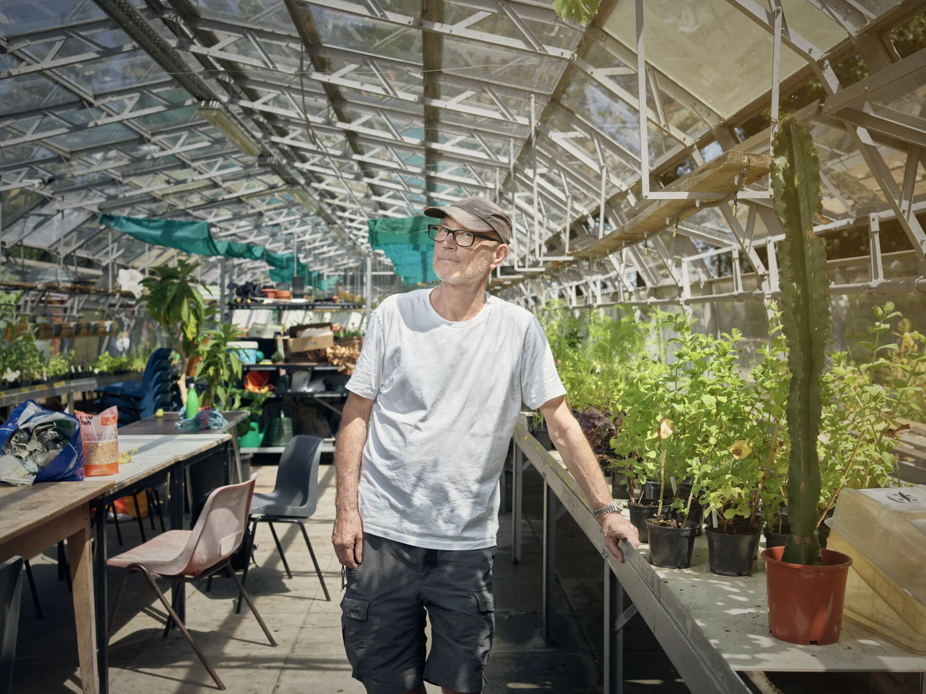 in-a-green-shade-brockwell-greenhouses-P0020878-©-michael-wharley-2020.jpg