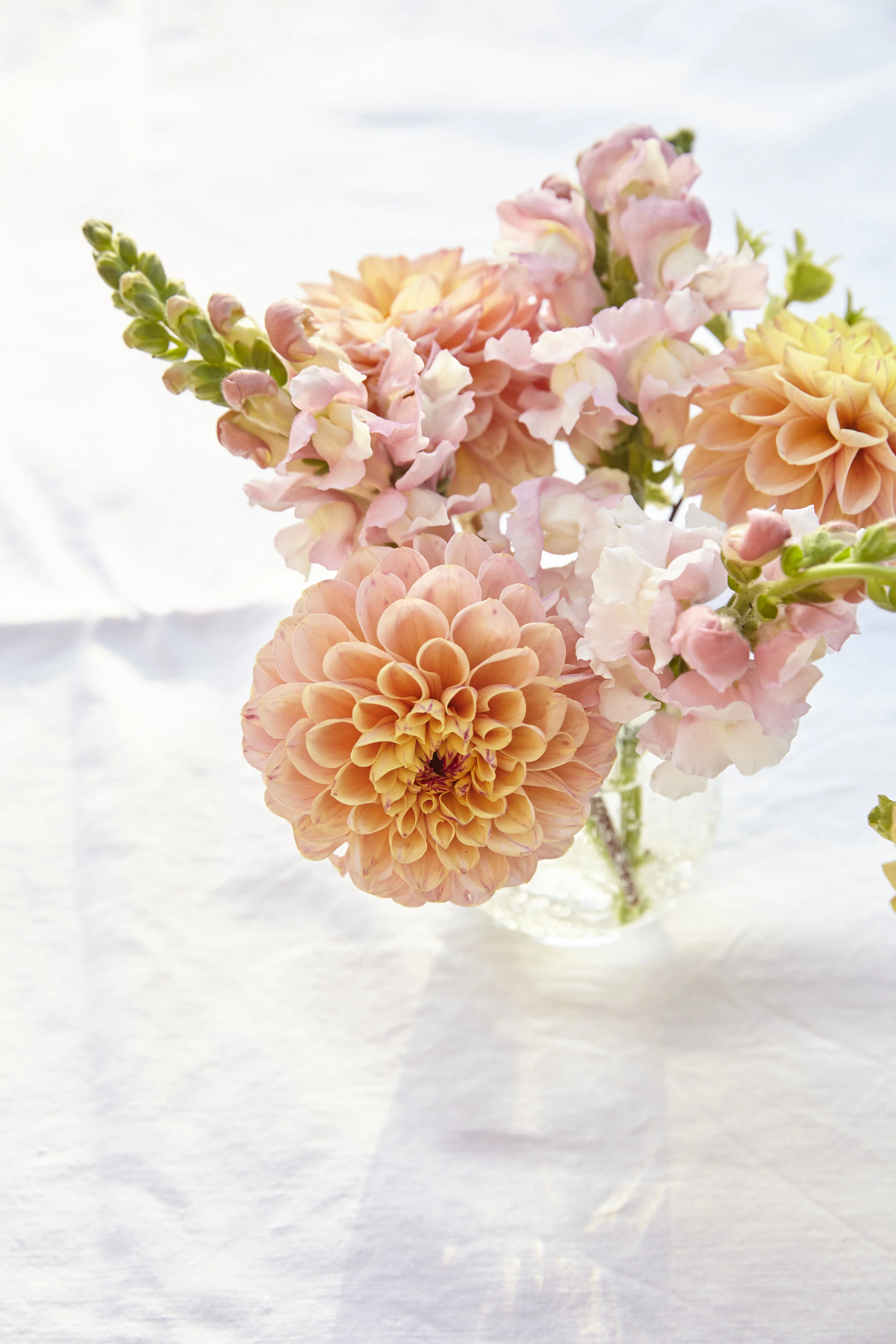 KLJ_LoseleyFlowers_September2019-025.jpg