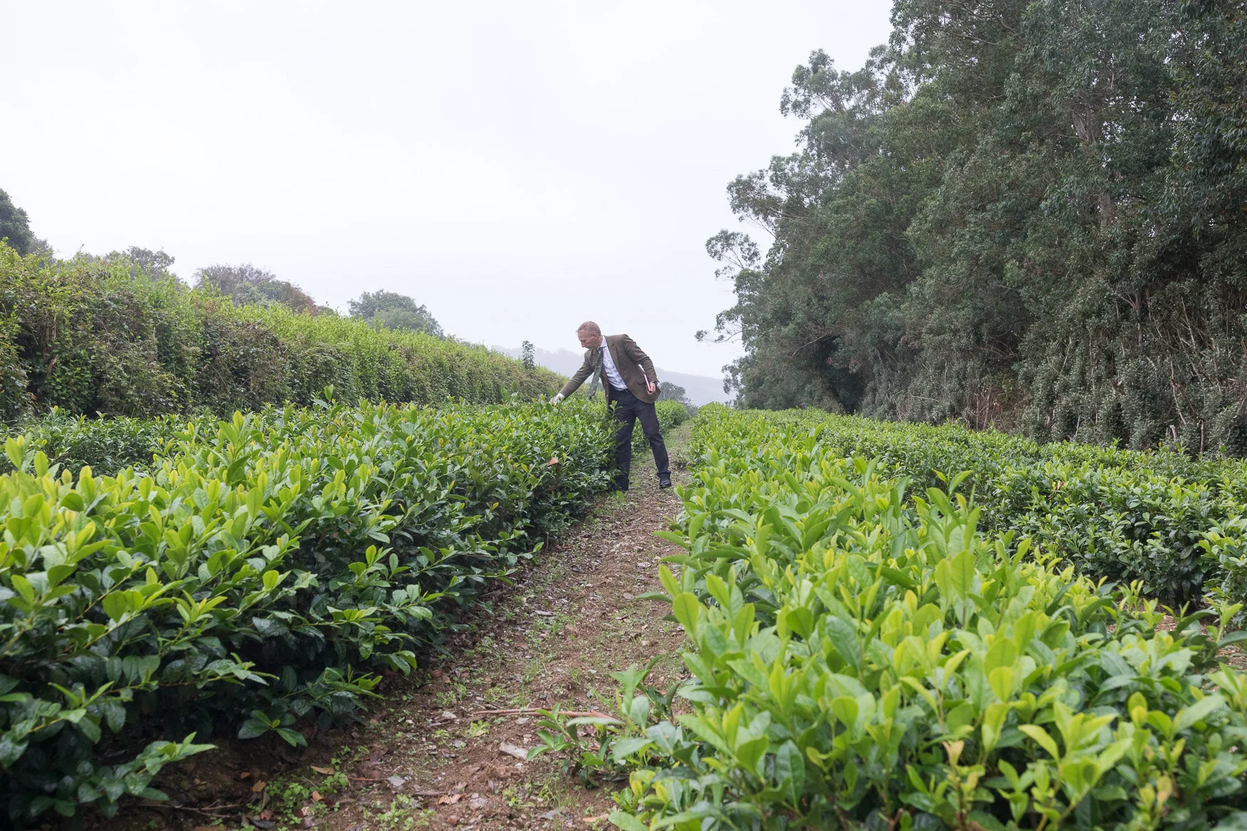 © Paul Craig. Brands 2 Life. Formidable Farmers
