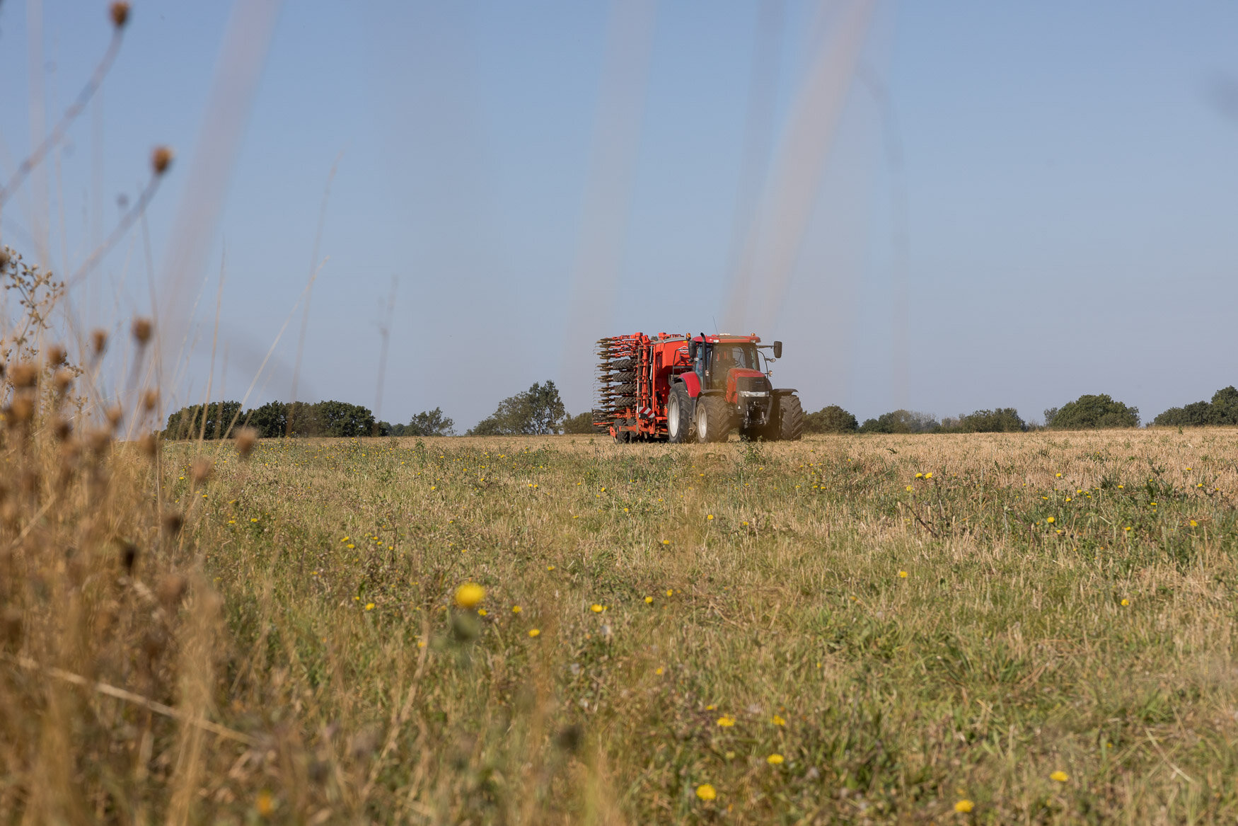 © Paul Craig. Brands 2 Life. Formidable Farmers
